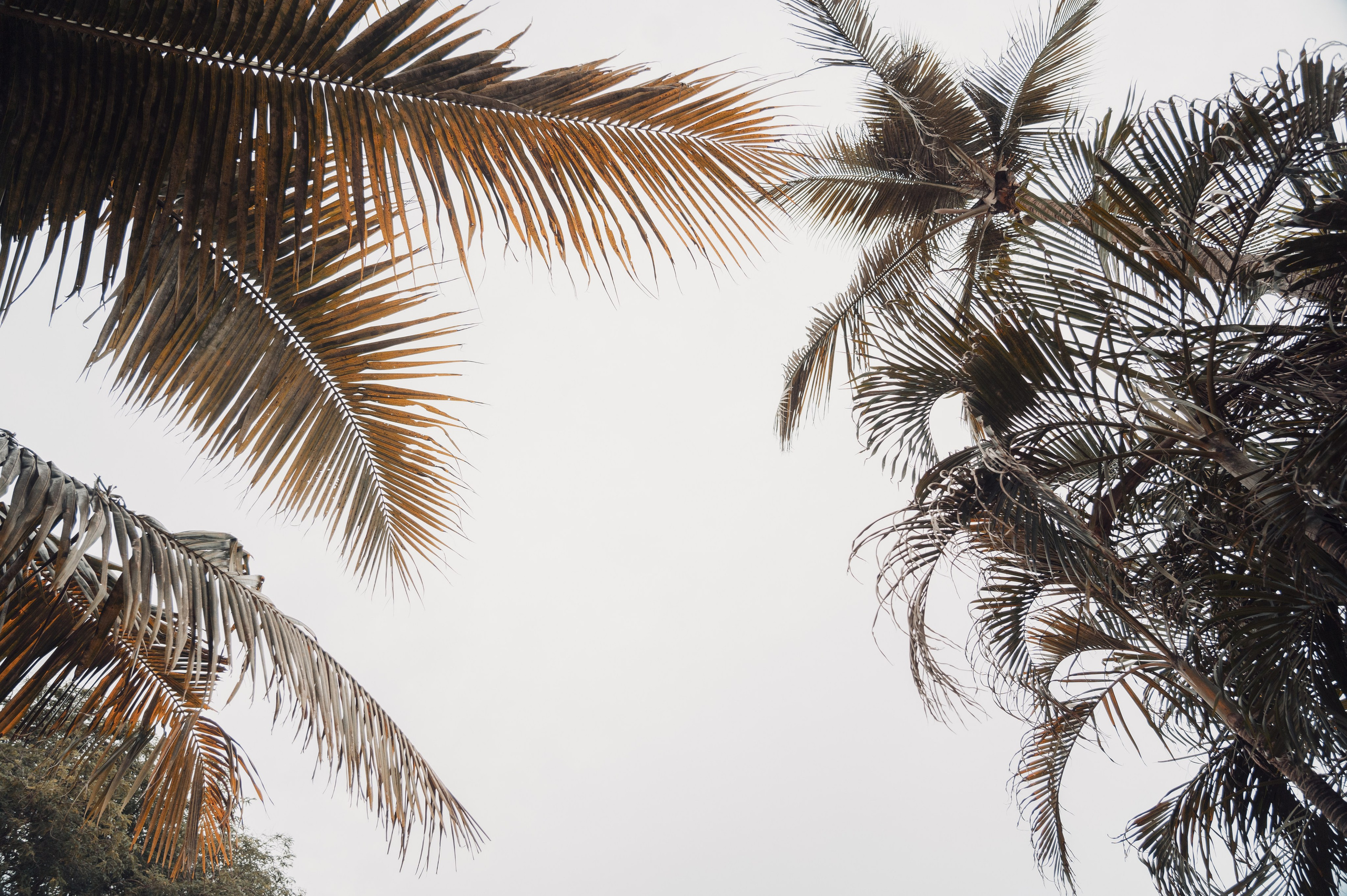 Sagaya & Rakesh. Agam Vizha