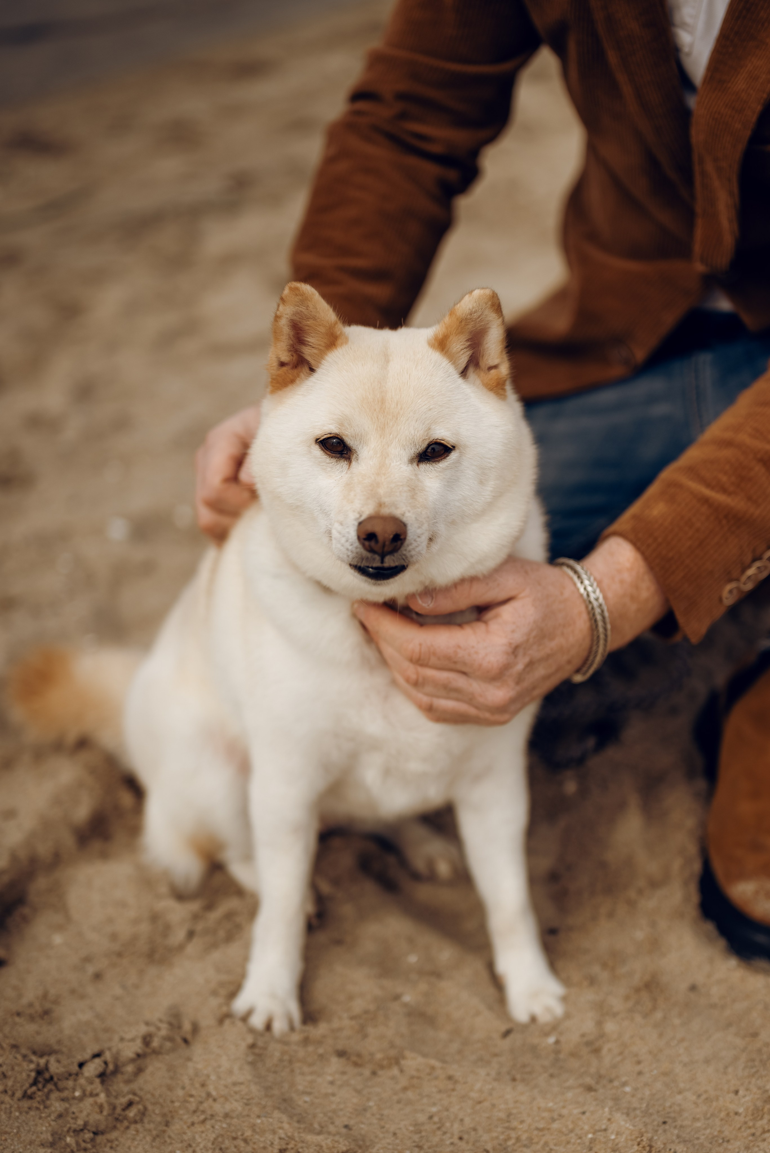 Katya & Nick. Photographer Irina Novikova