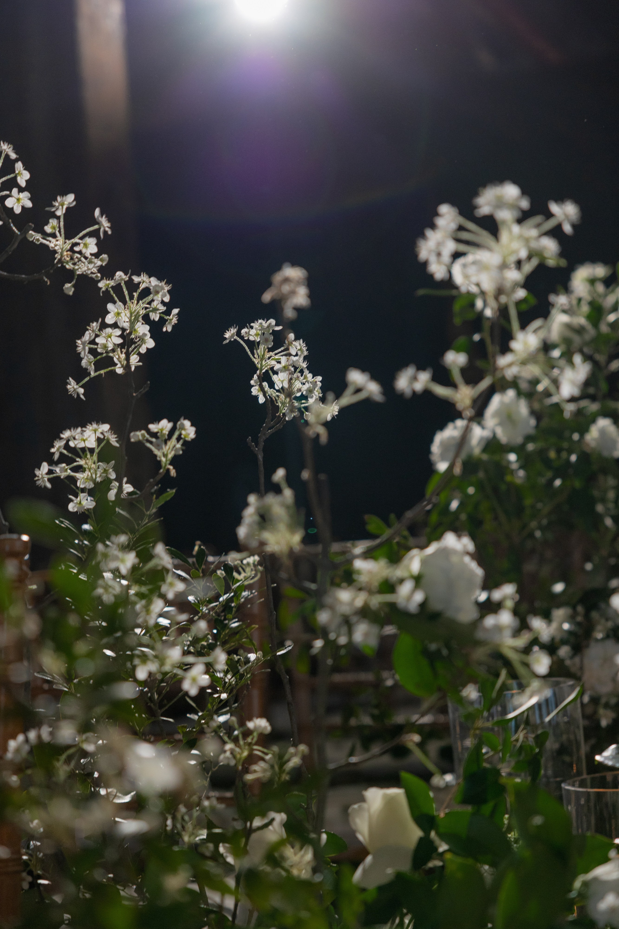 Lauren and Jonah. Wedding photographer and videographer New York | New Jersey