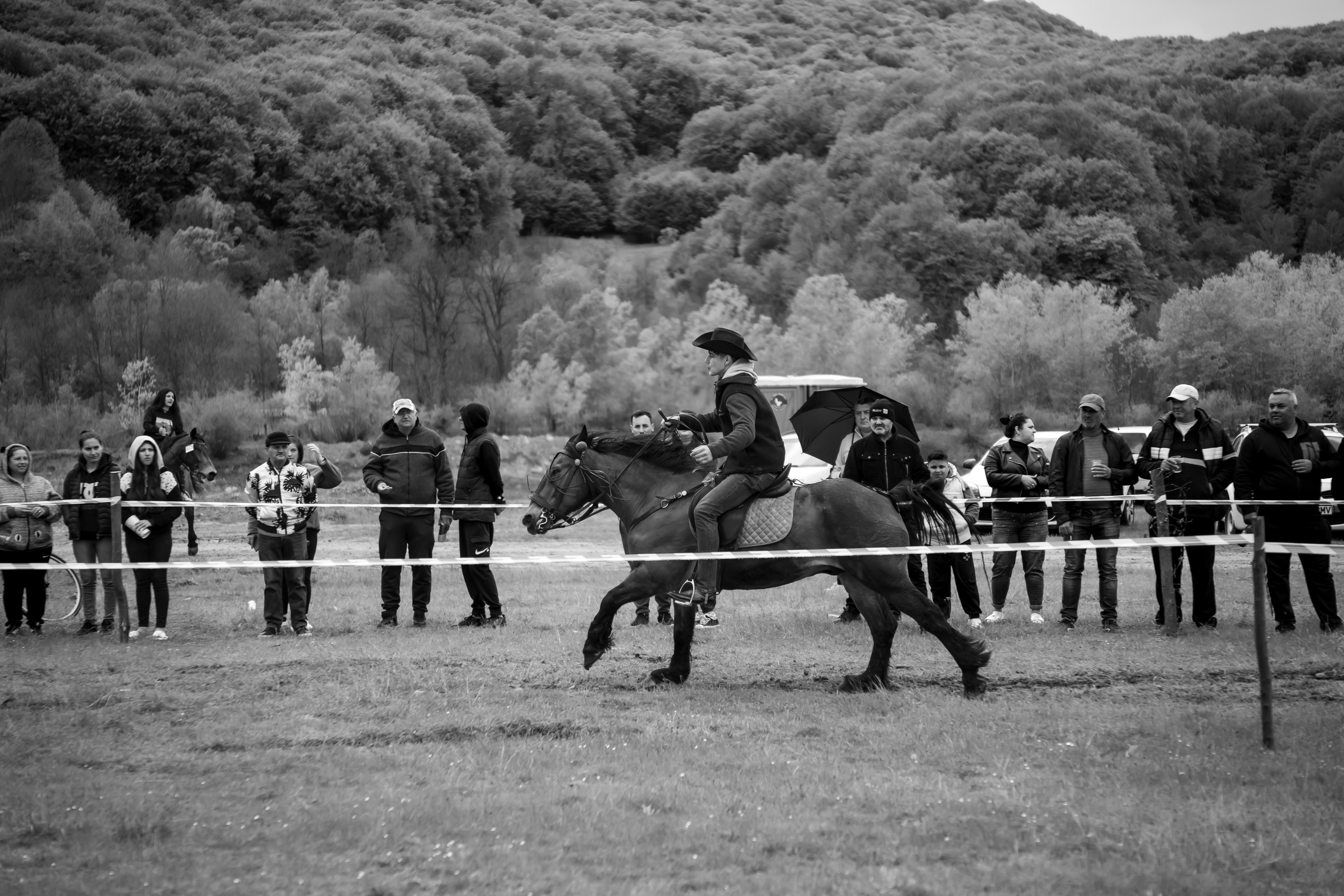Concurs Ecvestru Vărbilău ediția a 4-a. Mihai Alexandra Events