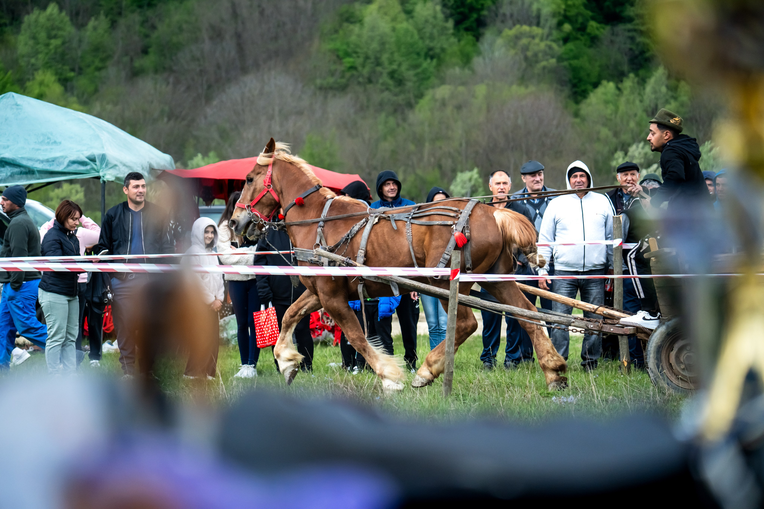 Concurs Ecvestru Vărbilău ediția a 4-a. Mihai Alexandra Events