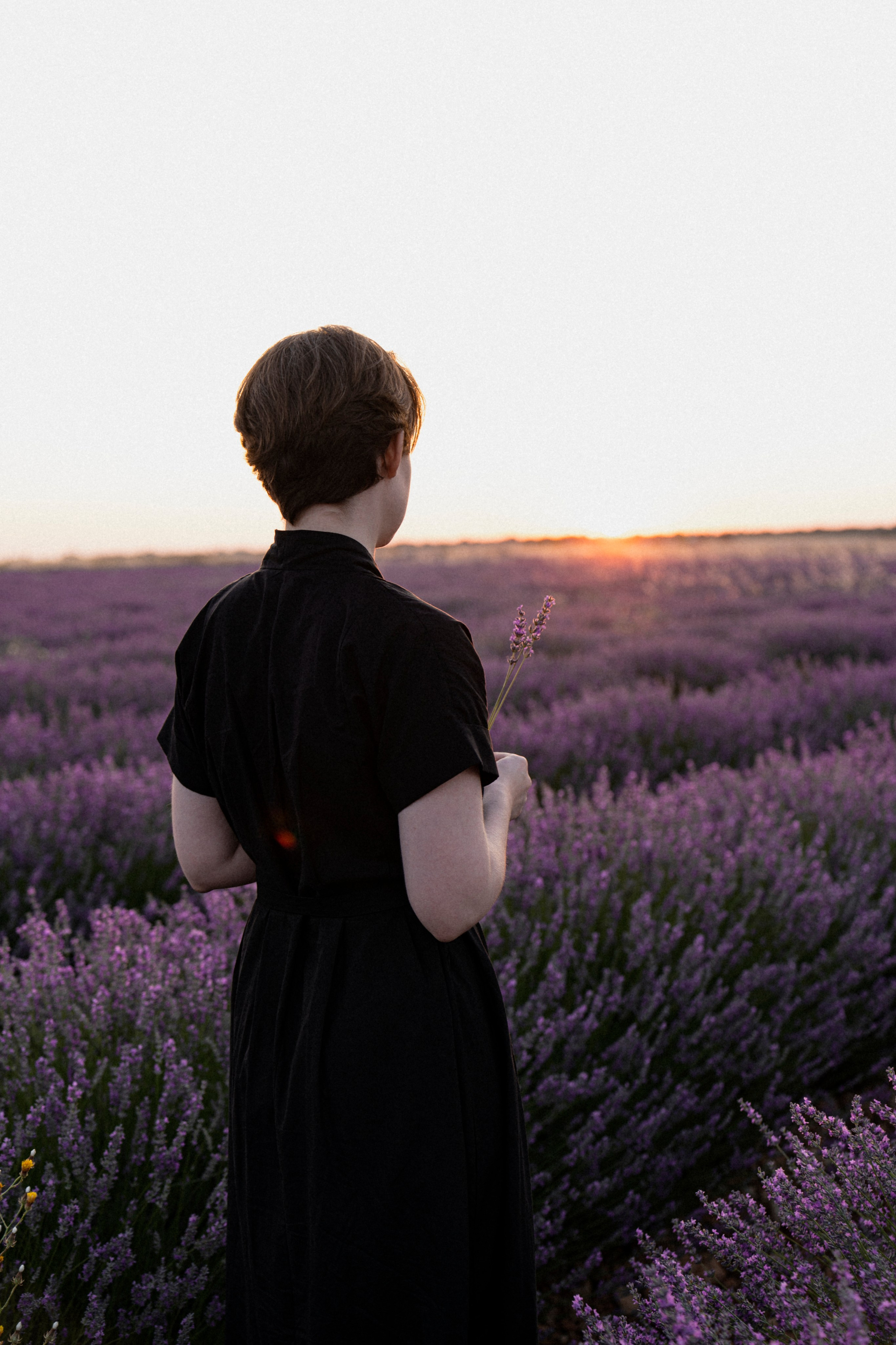 Испанский Прованс (рассвет). ...........