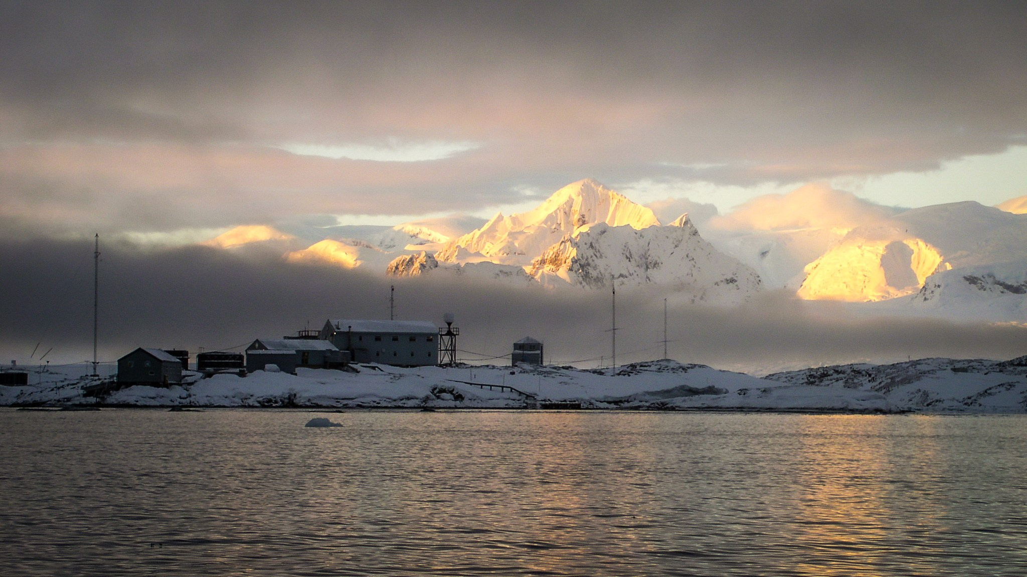 ANTARCTICA / 2004. Reportage concert portrait photography in the San Francisco Bay Area