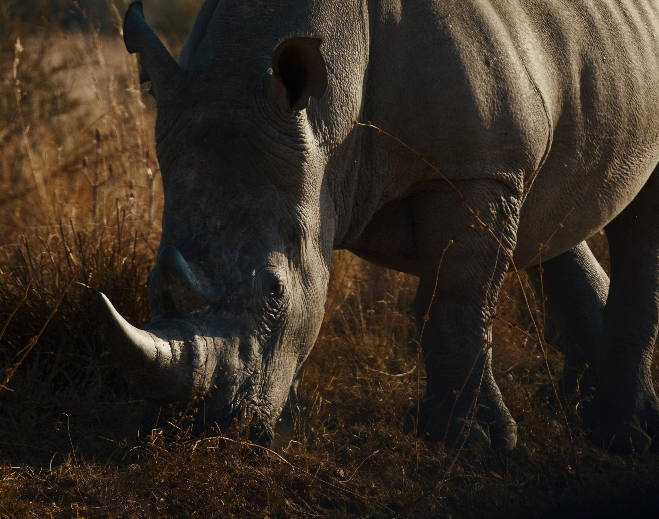 Photo Album. Pieter Muller — Cinematic filmmaker crafting outdoor, lifestyle & brand stories across South Africa