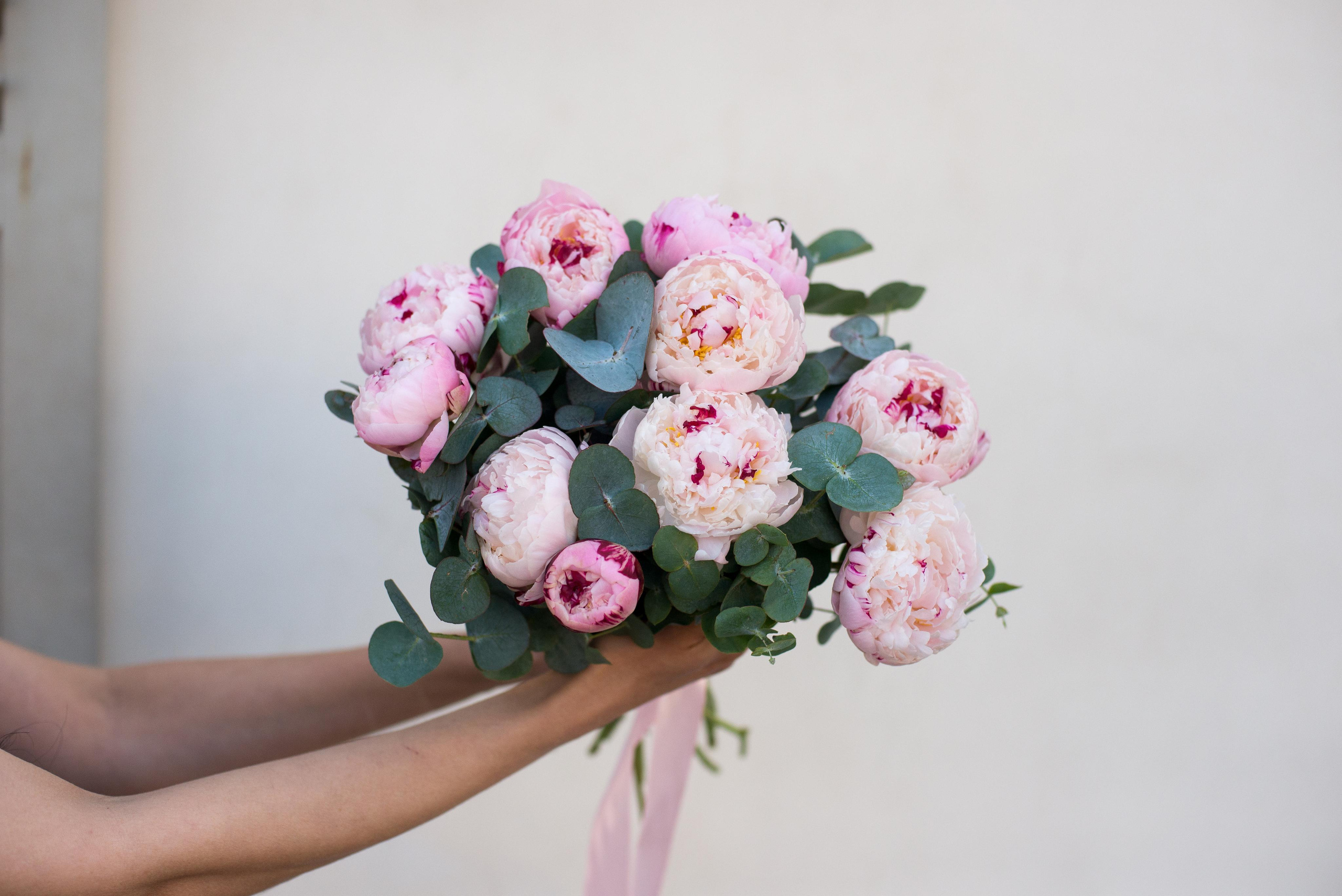 Цветы — florenes. Визуальный брендинг