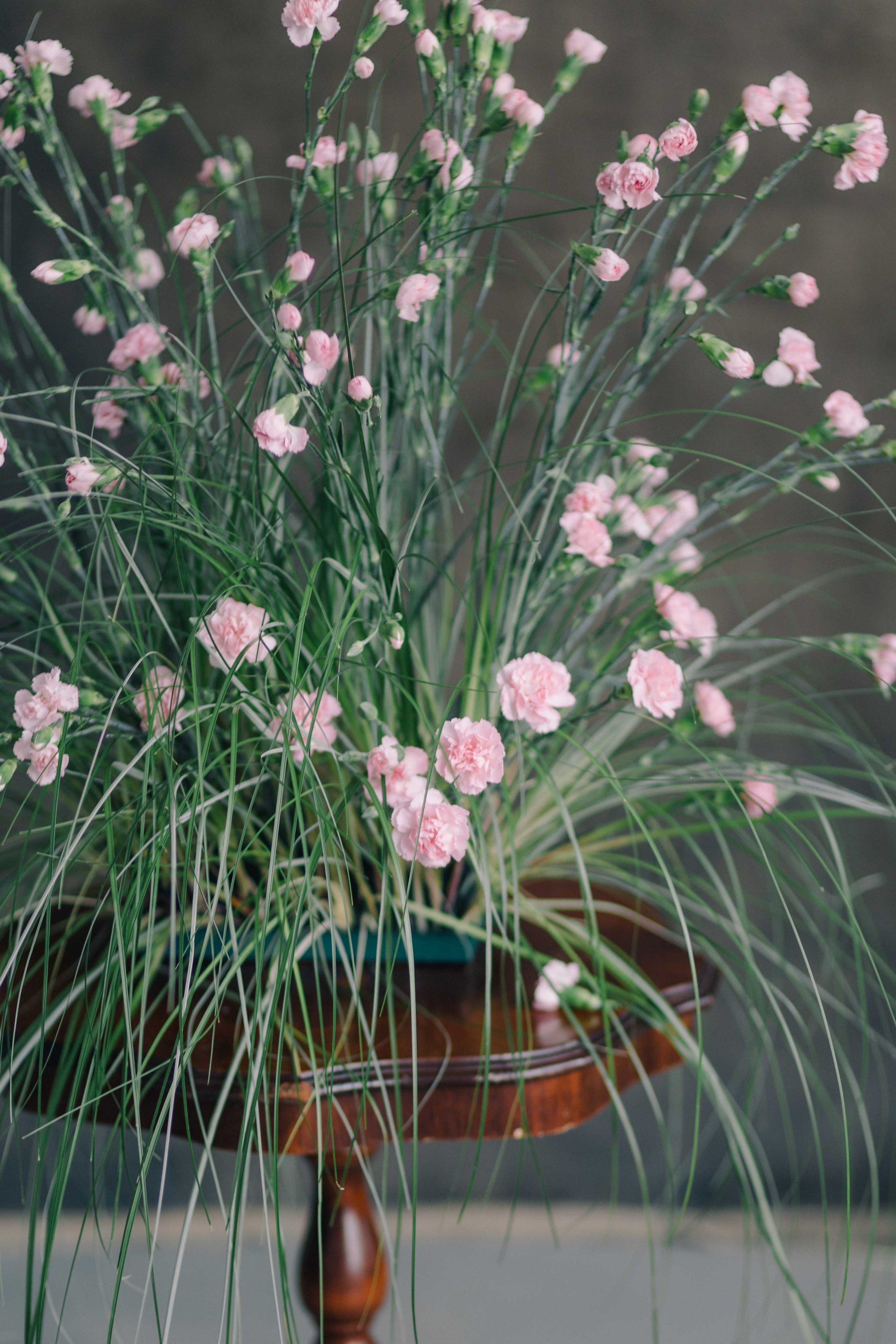 Анастасия. Фотограф в Кракове и в Европе