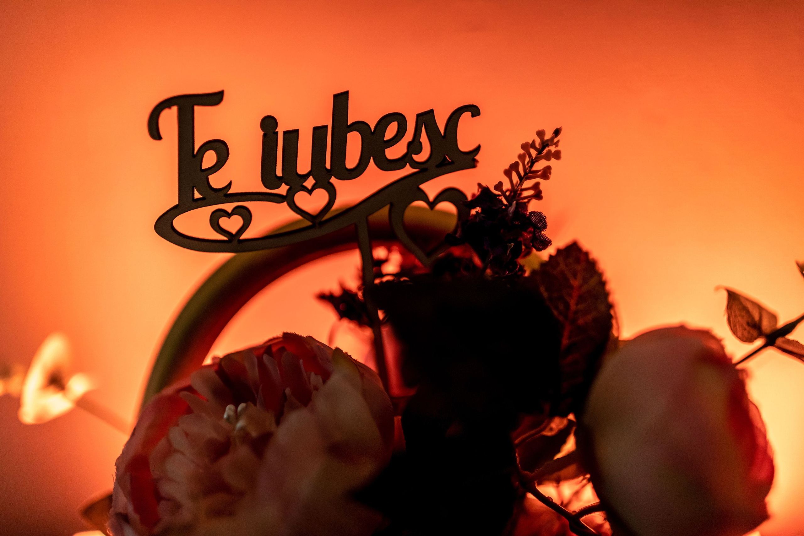 servicii foto. servicii foto Botoșani. servicii foto video Botoșani. fotograf nunta. fotograf evenimente. fotograf nunta Botoșani. Alin chirila. Alin chirila fotograf. Alinofotostudio.- Nunta Robert & Cristina 2022 – momente magice  - Robert și Cristina 2022 – nunta lor frumoasă  - Fotograf nunta Robert & Cristina 2022 – amintiri de neuitat  - Nunta Robert și Cristina 2022 – iubire și emoție  - Fotograf profesionist Botoșani – Nunta Robert & Cristina  - Nunta Robert & Cristina 2022 – momente speciale surprinse cu drag-- Nunta Robert & Cristina 2022 – amintiri magice  - Robert și Cristina 2022 – nunta lor de vis  - Fotografii nunta Robert & Cristina 2022 – momente speciale  - Nunta Robert & Cristina – fotograf profesionist Botoșani  - Fotografii nunta Robert & Cristina 2022 – iubire și emoție