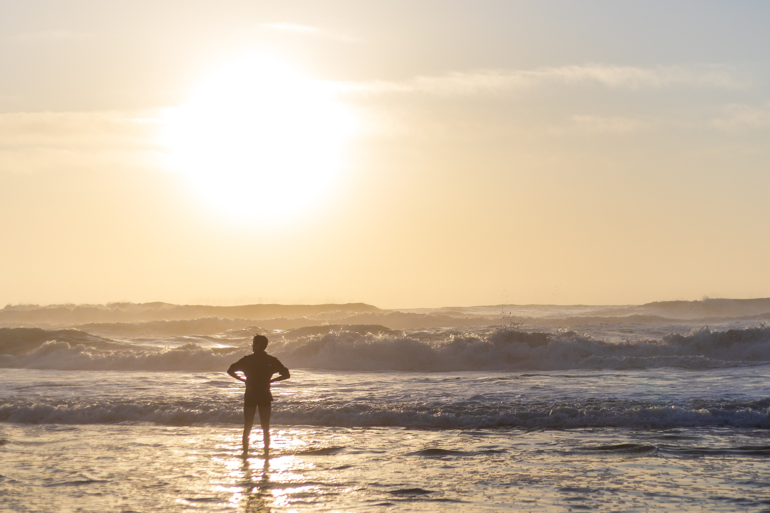 San Francisco. Aleks.photo | Book a photoshoot
