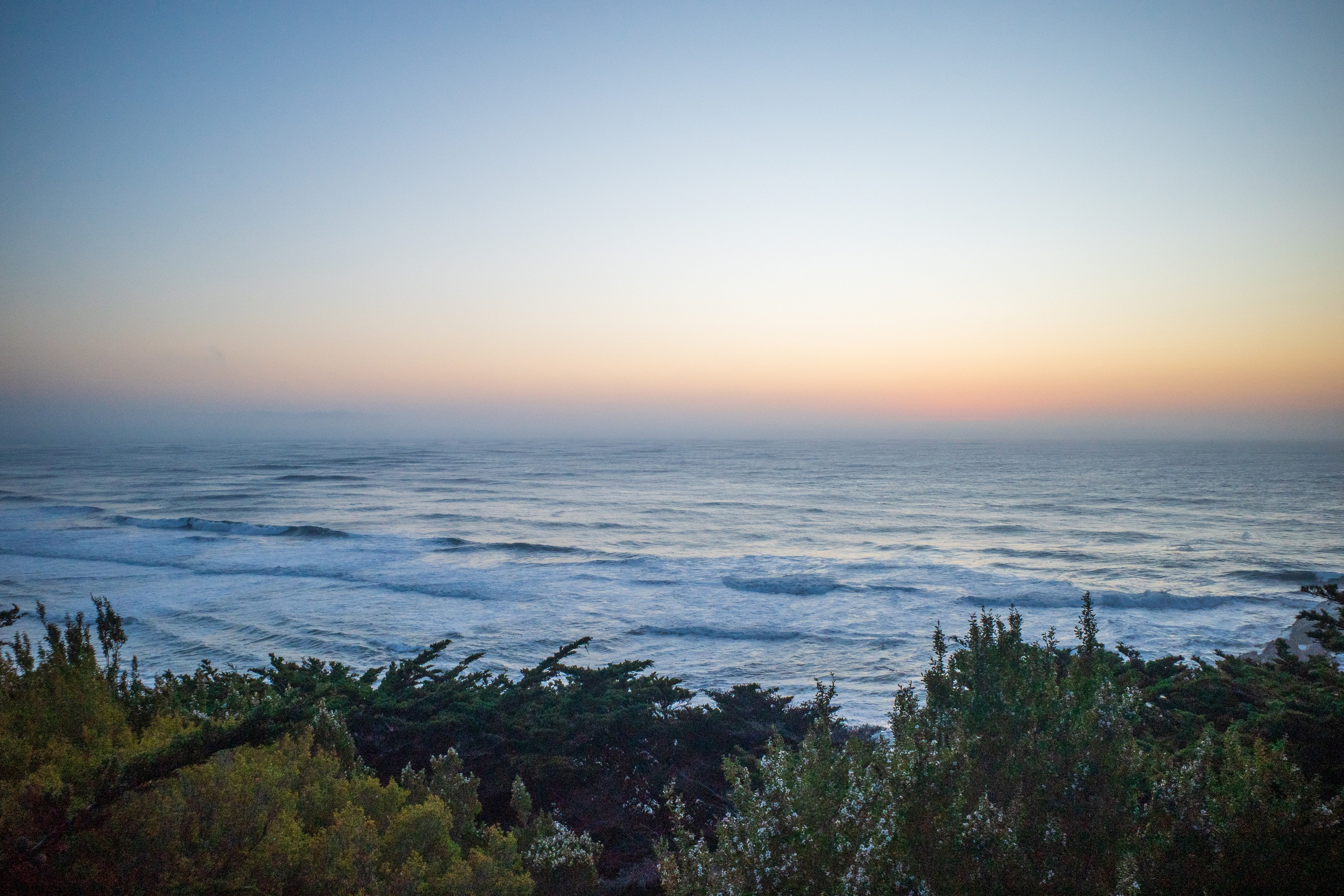 San Francisco. Aleks.photo | Book a photoshoot