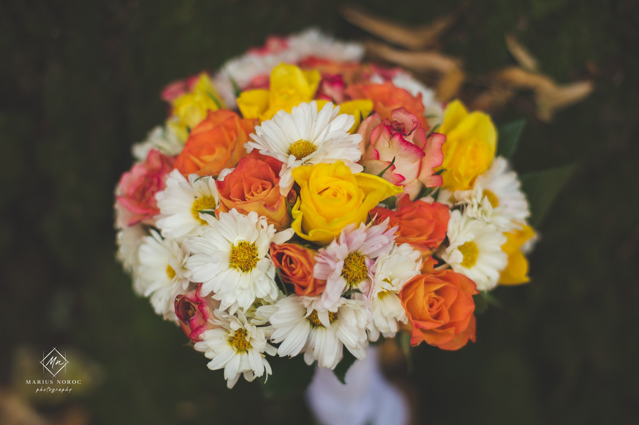 Oana & Daniel | Padurea Bucium Iasi