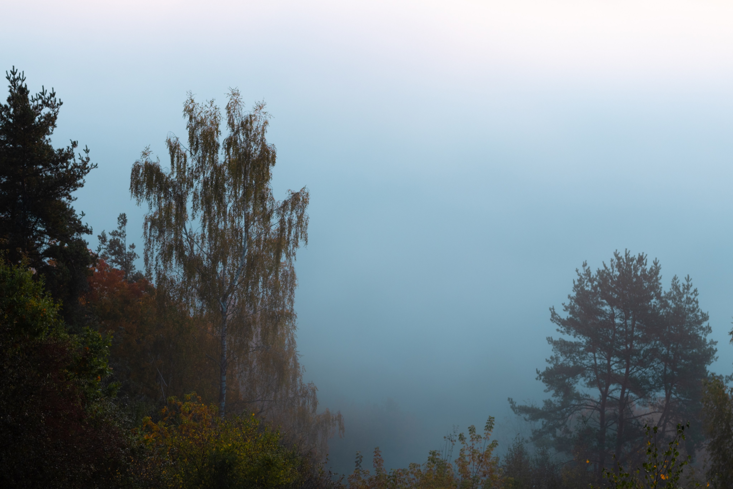 Landscape. Portrait and Street photographer in Vilnius Edgar Shaipunas