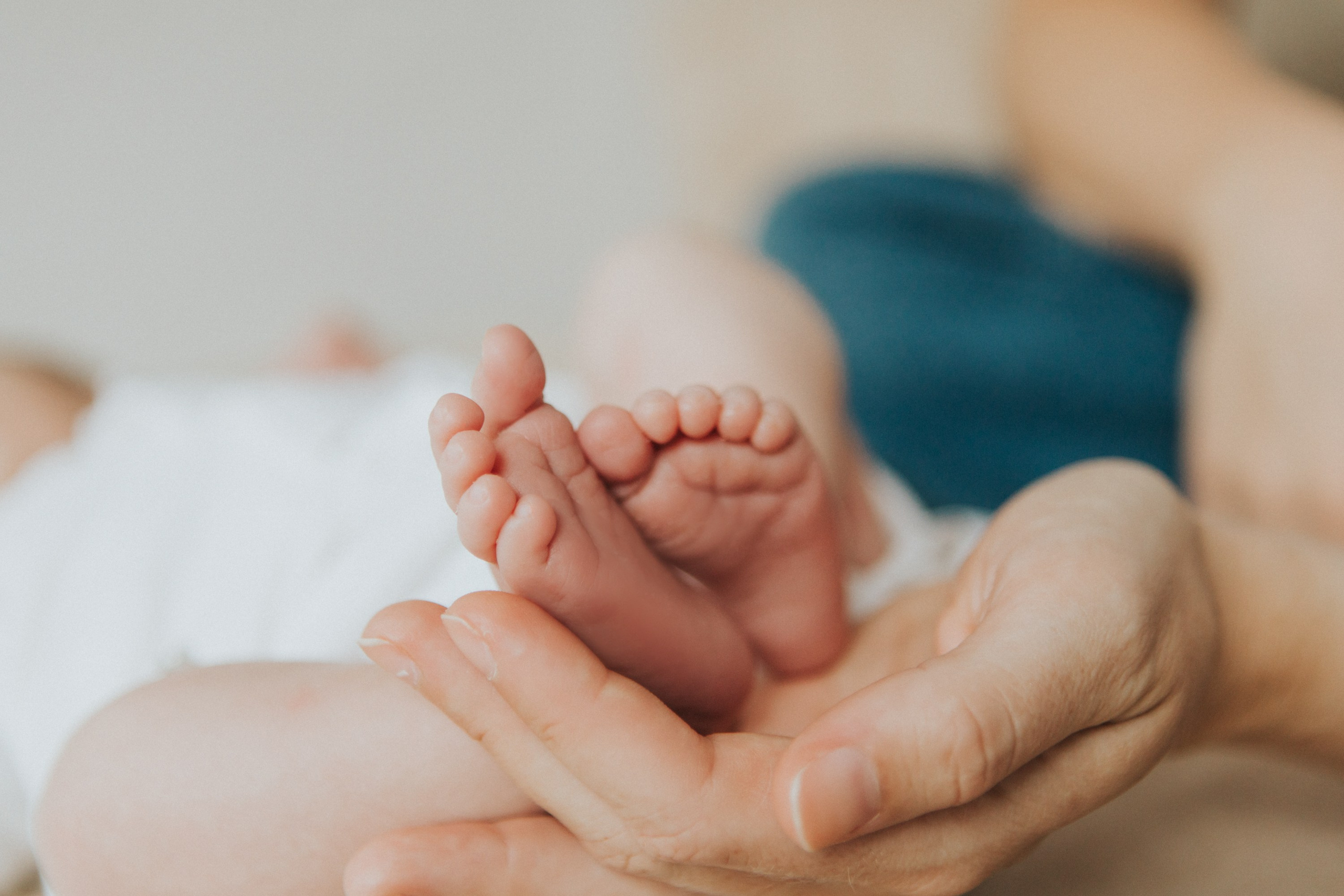 A&F. Hochzeitsfotograf Hamburg Evgenia Voss