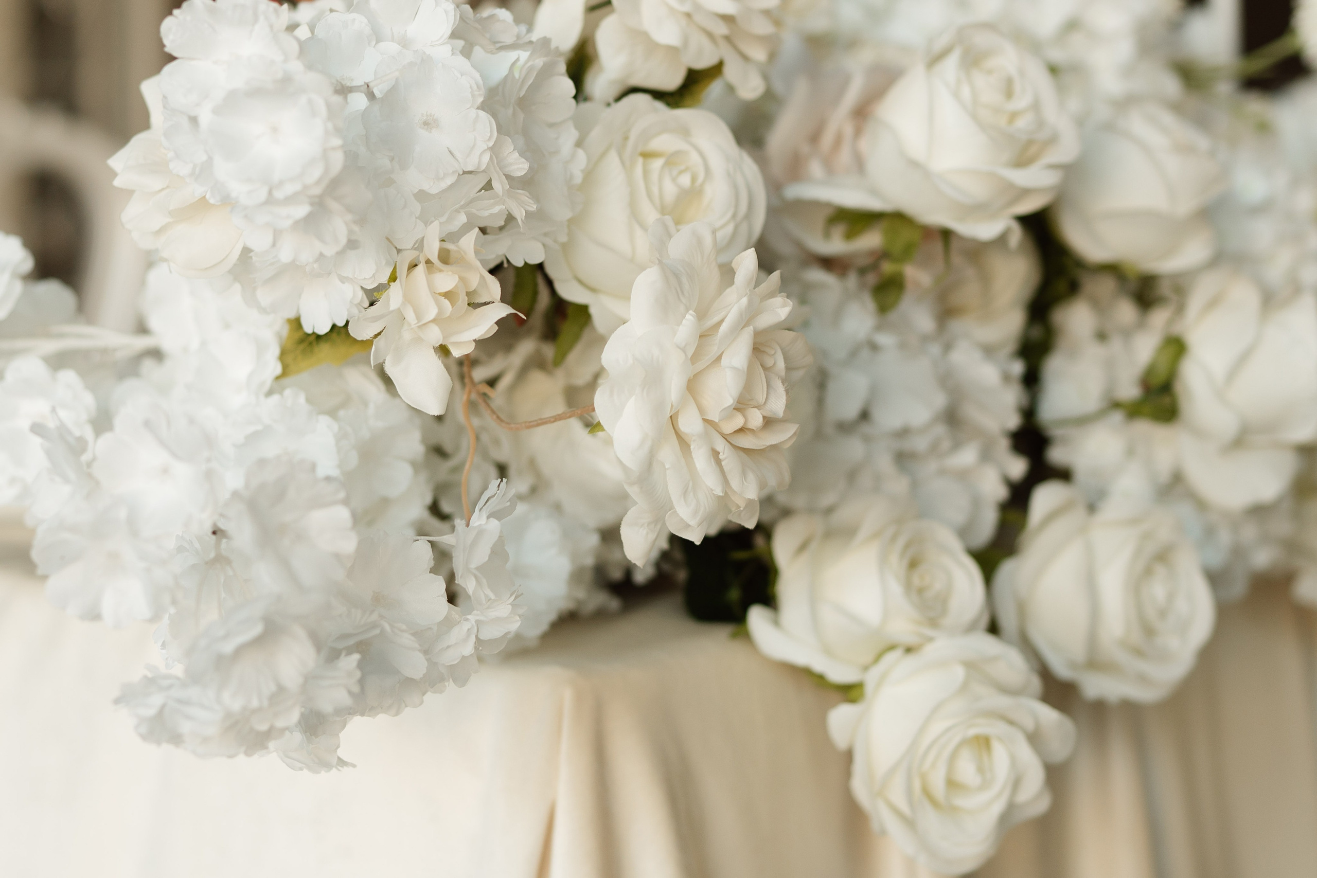 Vasile & Sanda. Home