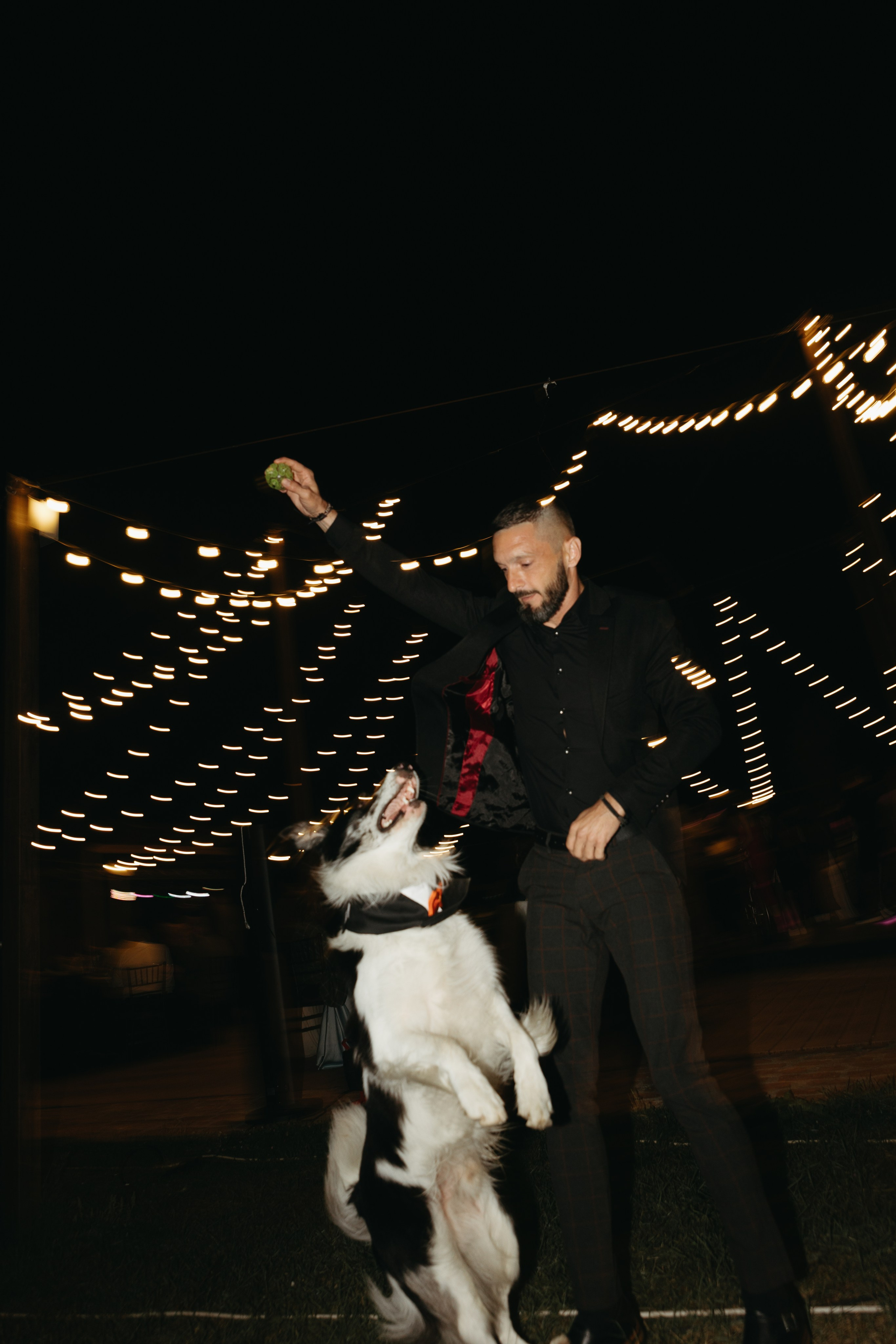 Wedding at Province Timisoara | Cristina & Robert. Wedding photographer and videographer based in Timisoara, Romania