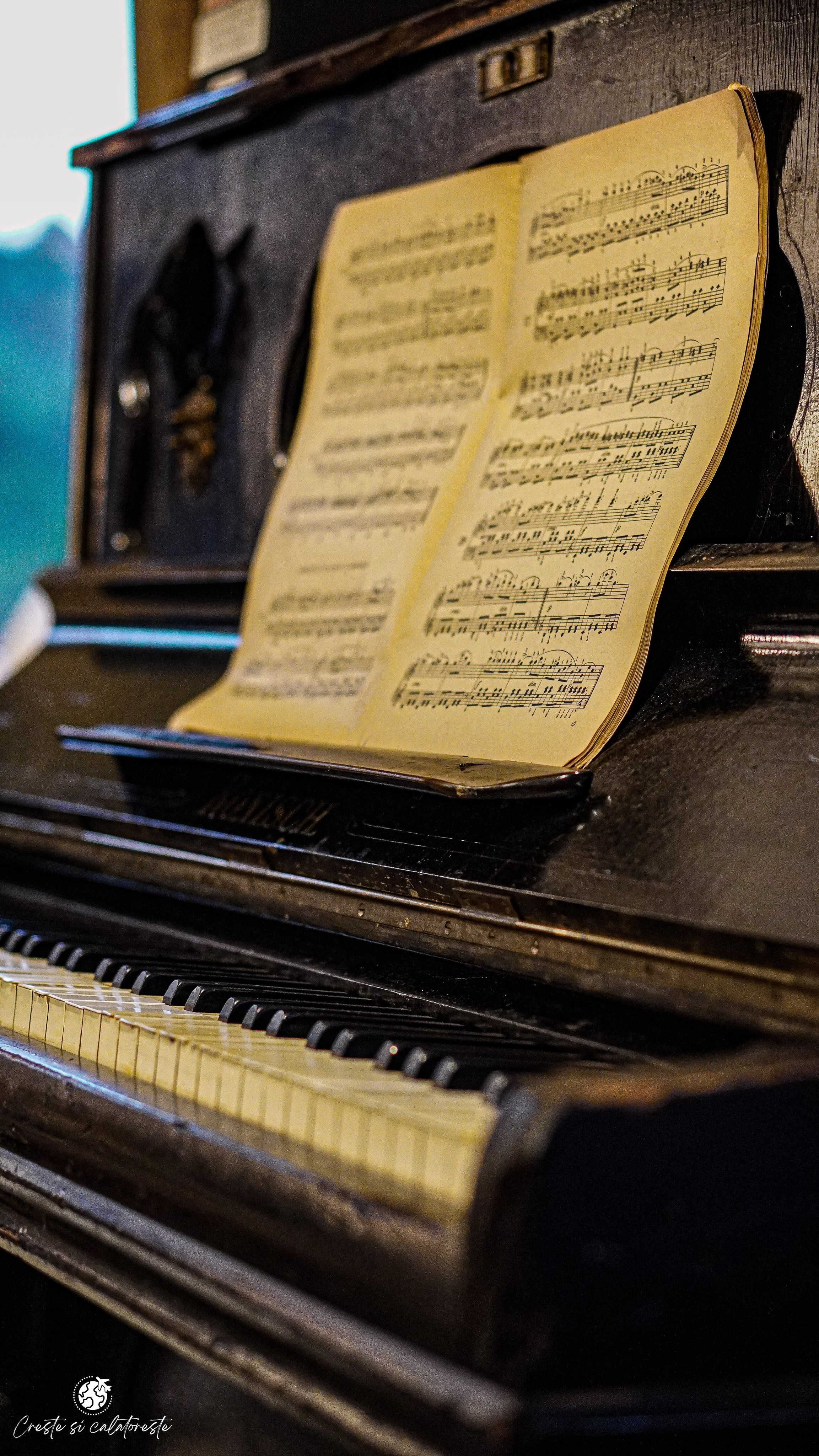 Bransilvania. Creste si calatoreste