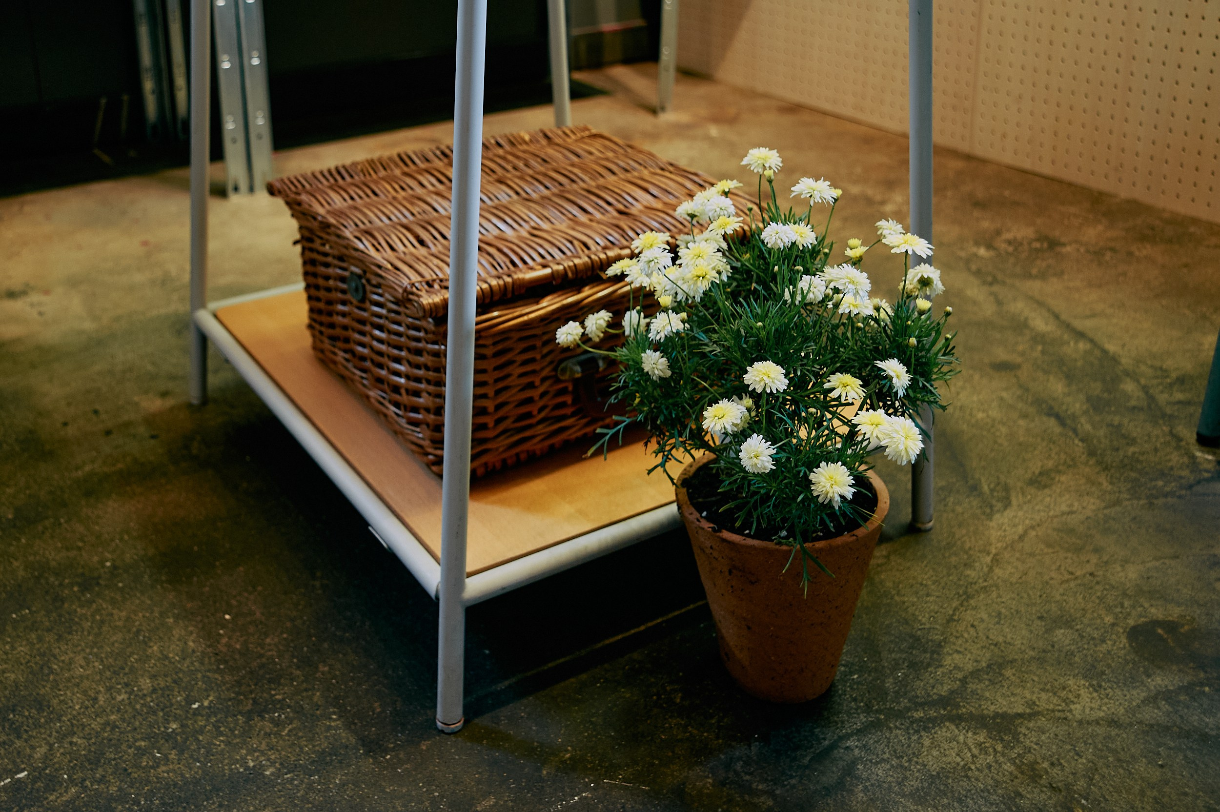 ライブ刺しゅうがやってきた ! !. MT