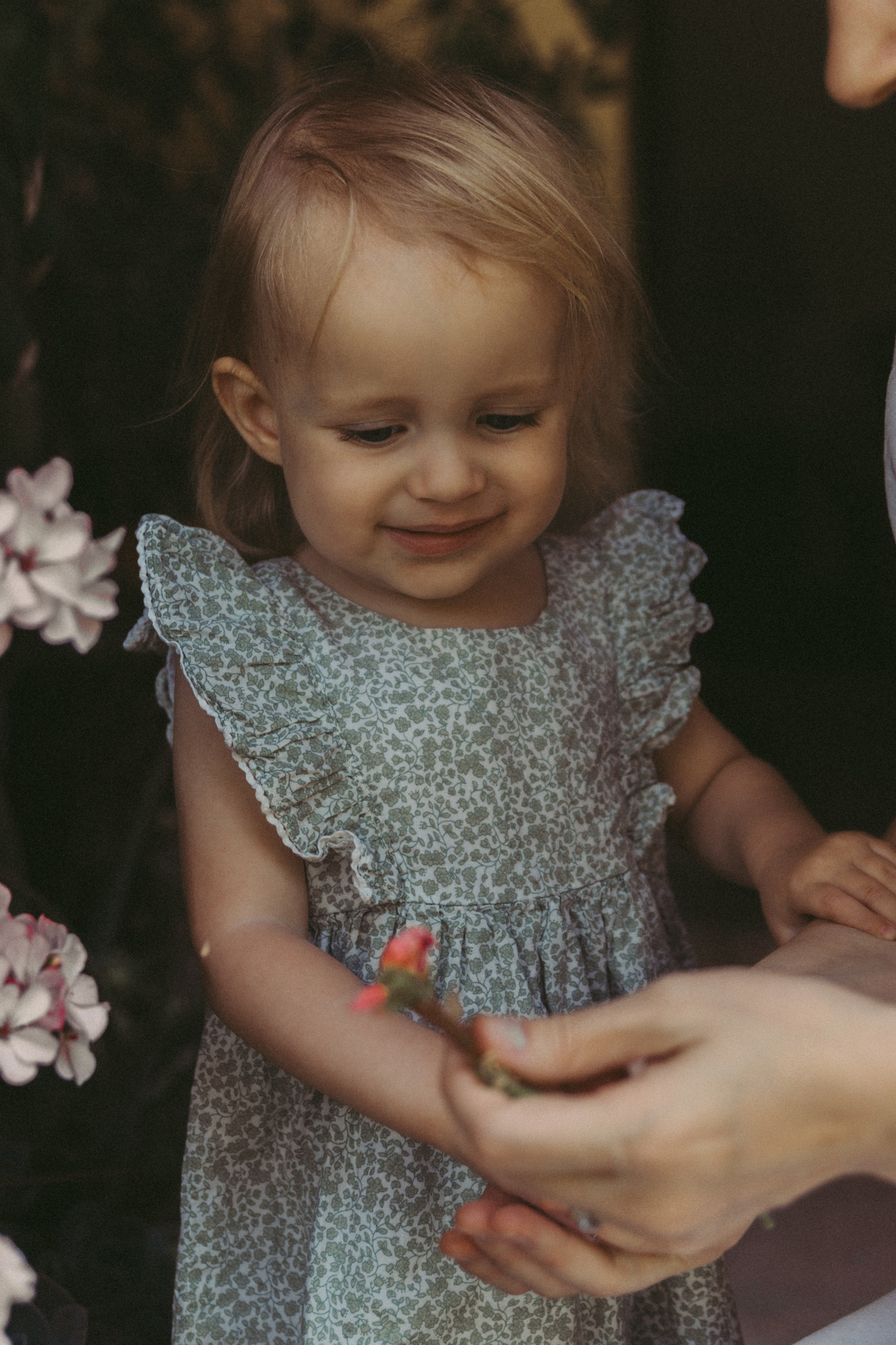 Sesión de fotos familiar en casa — Momentos reales y acogedores. Photographer in Santiago, Chile Anna Almazova