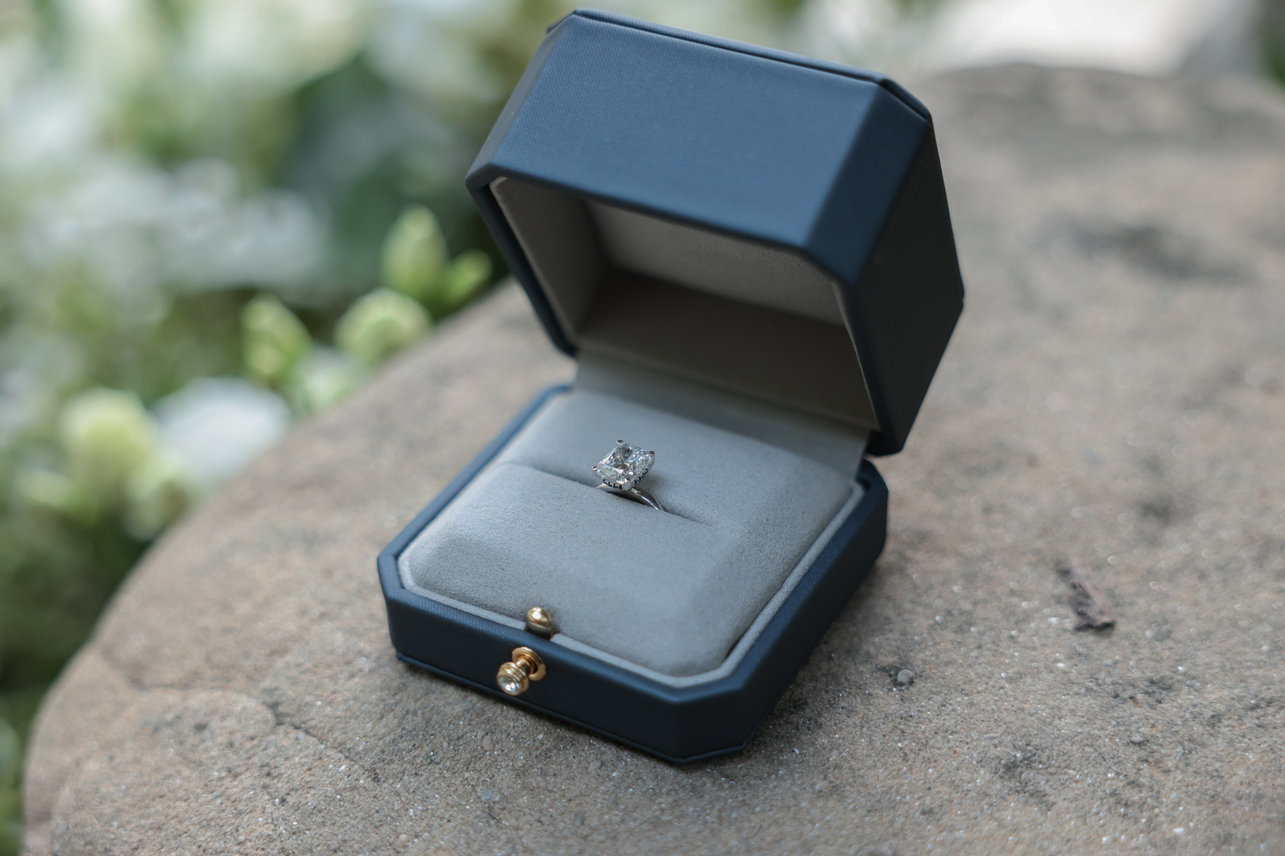 Proposal Ajeet and Katie. Photographer in Milan |Mila Pro Photo