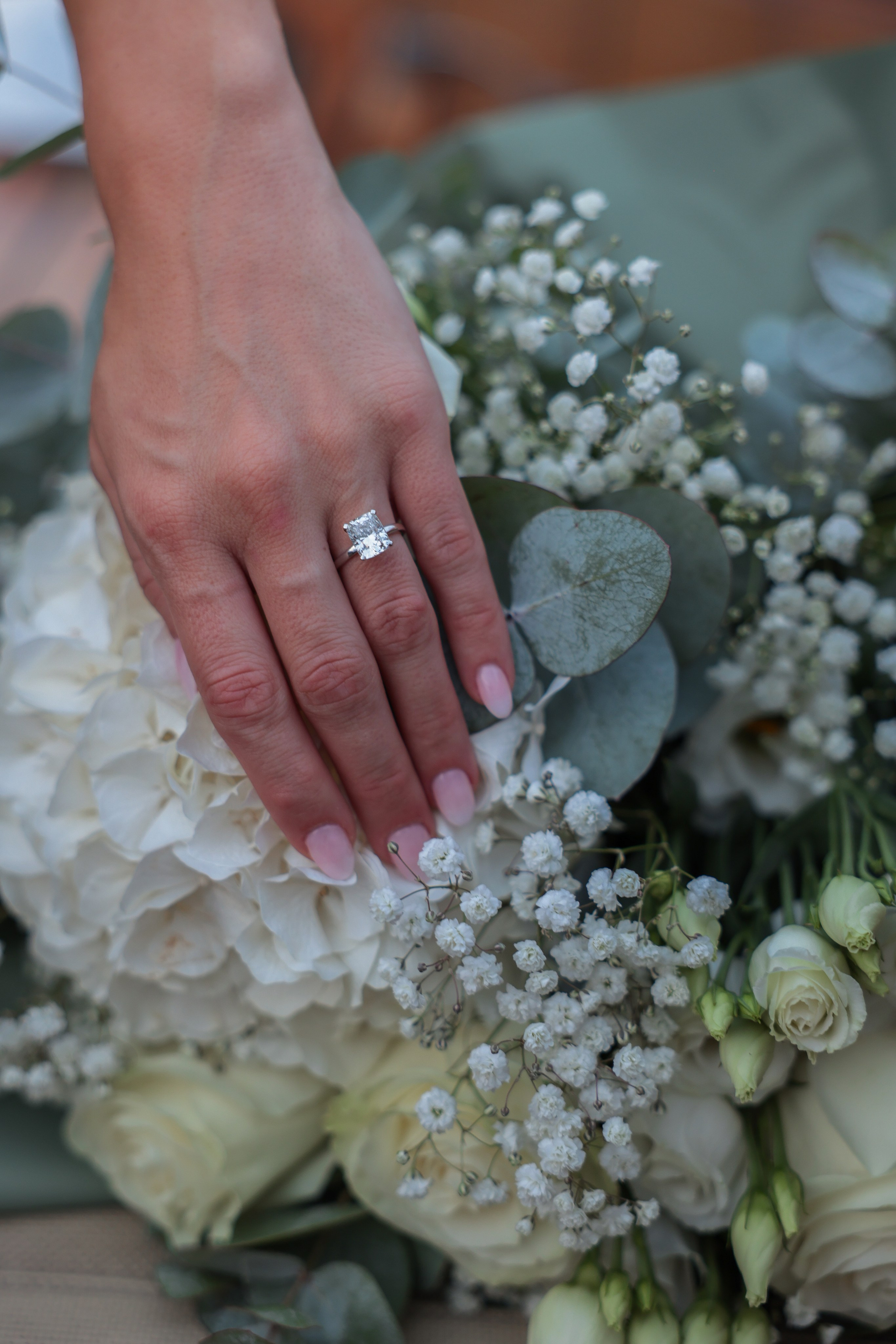 Proposal Ajeet and Katie. Photographer in Milan |Mila Pro Photo