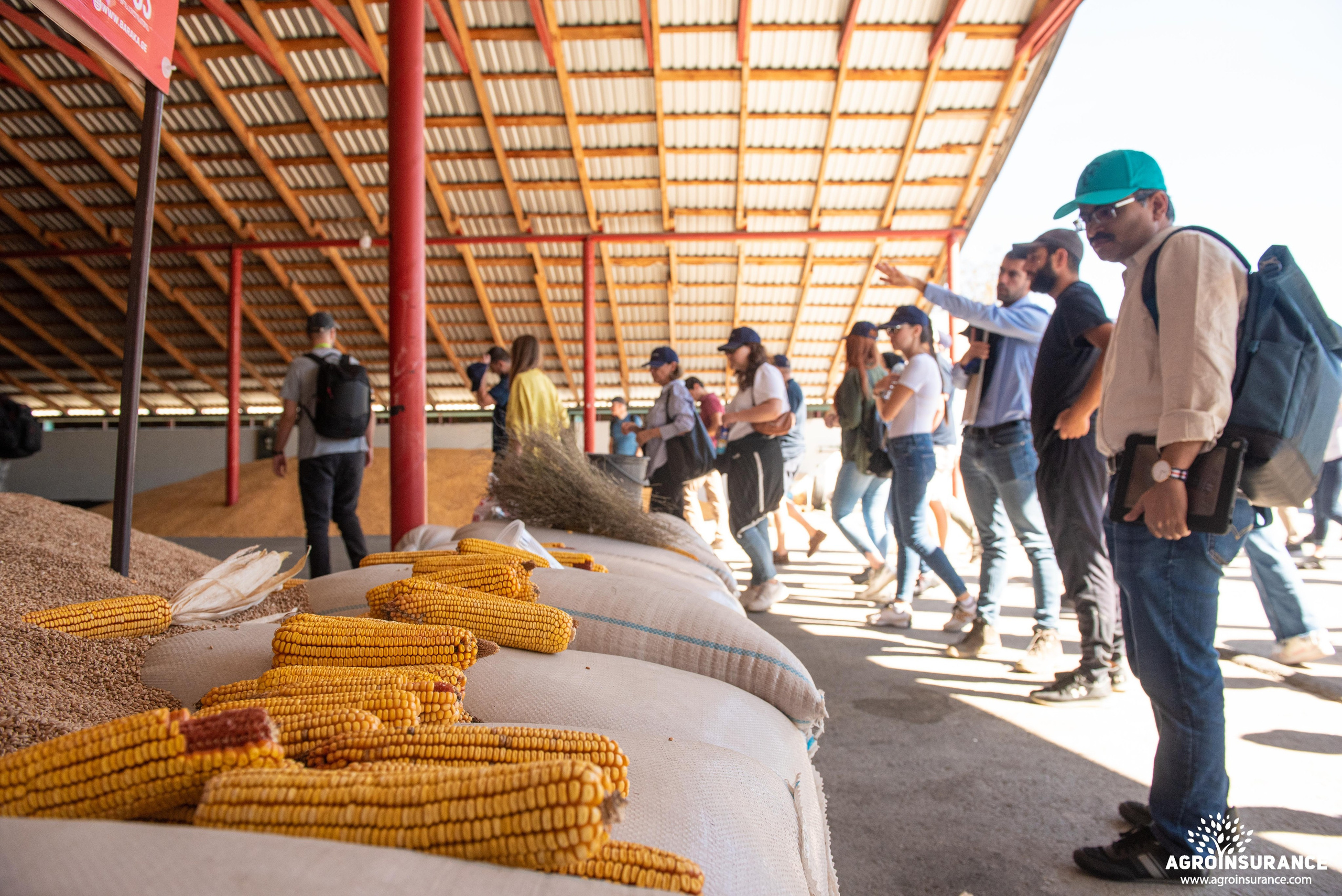 Event photography. Photographer in Tbilisi