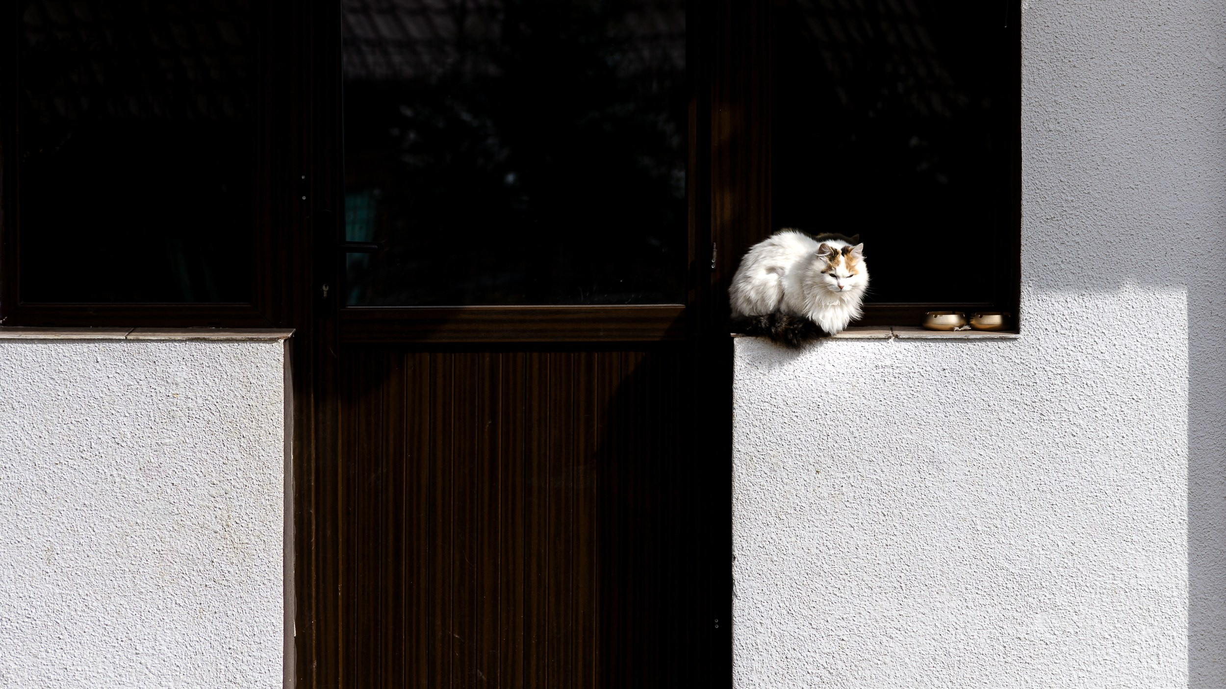 WK Bogdan Botofei 3. Marius Ciocan