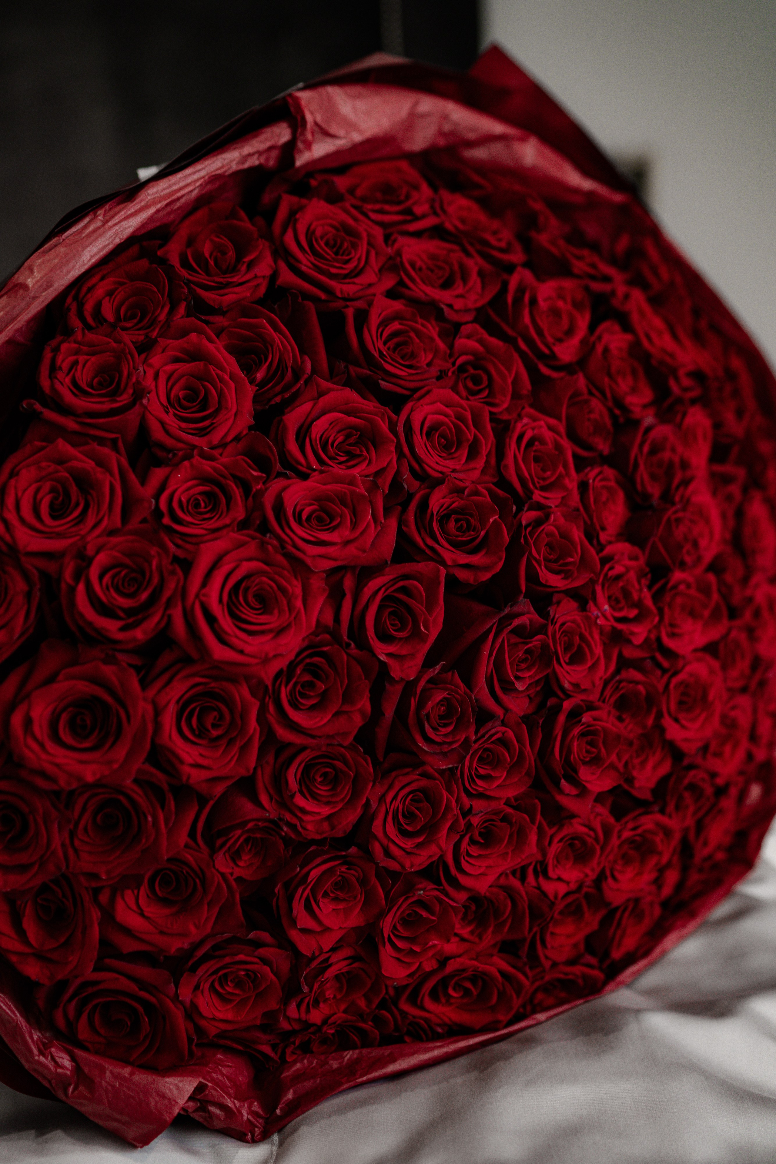 Daria. Tonya Kyrylenko photographer in London