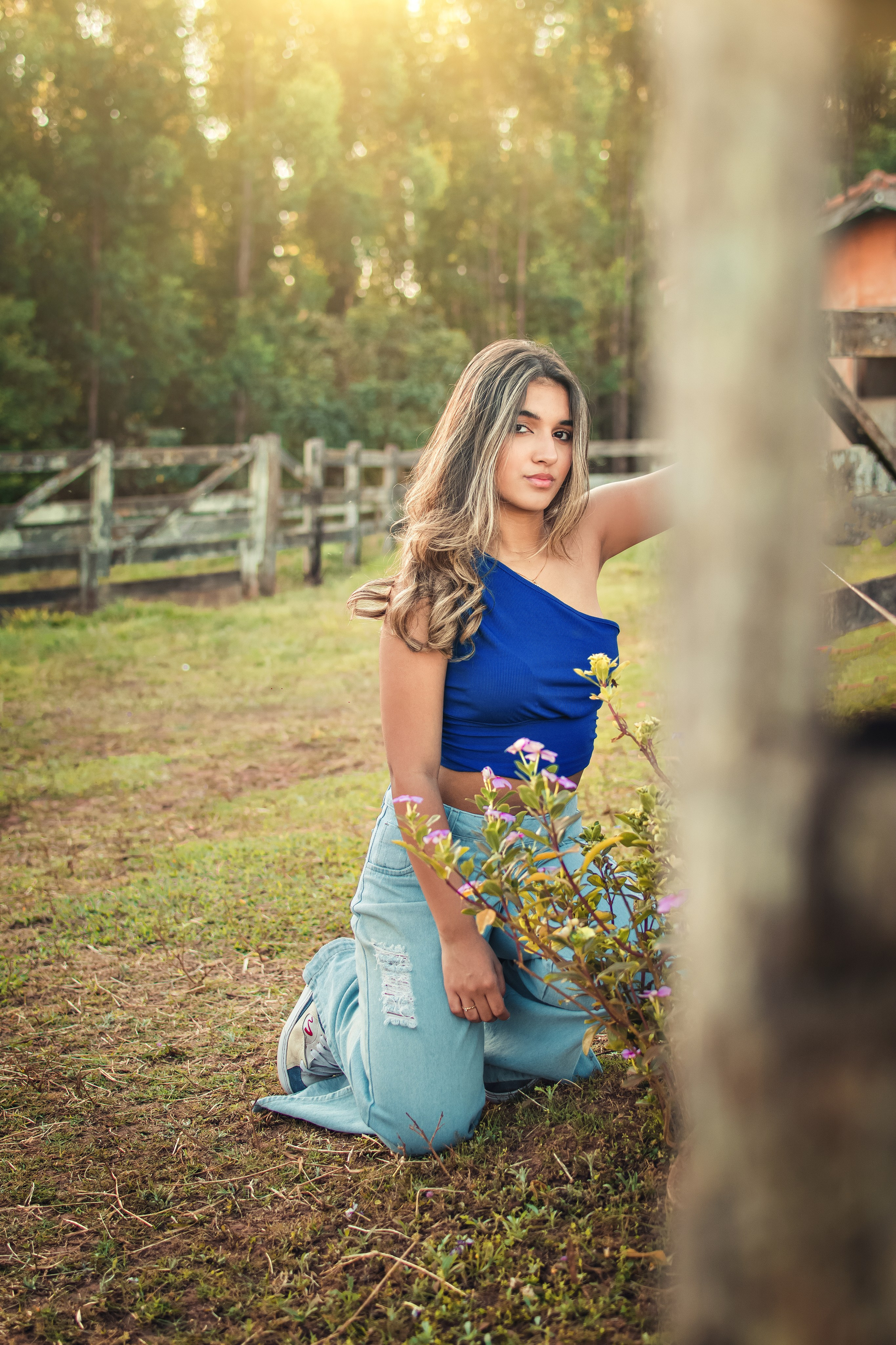 Livia — Haras / Agudos SP. Robson Colaço