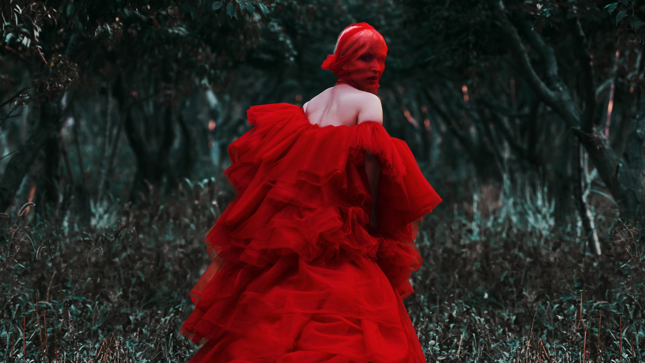 Alireza Sahebi Photographer