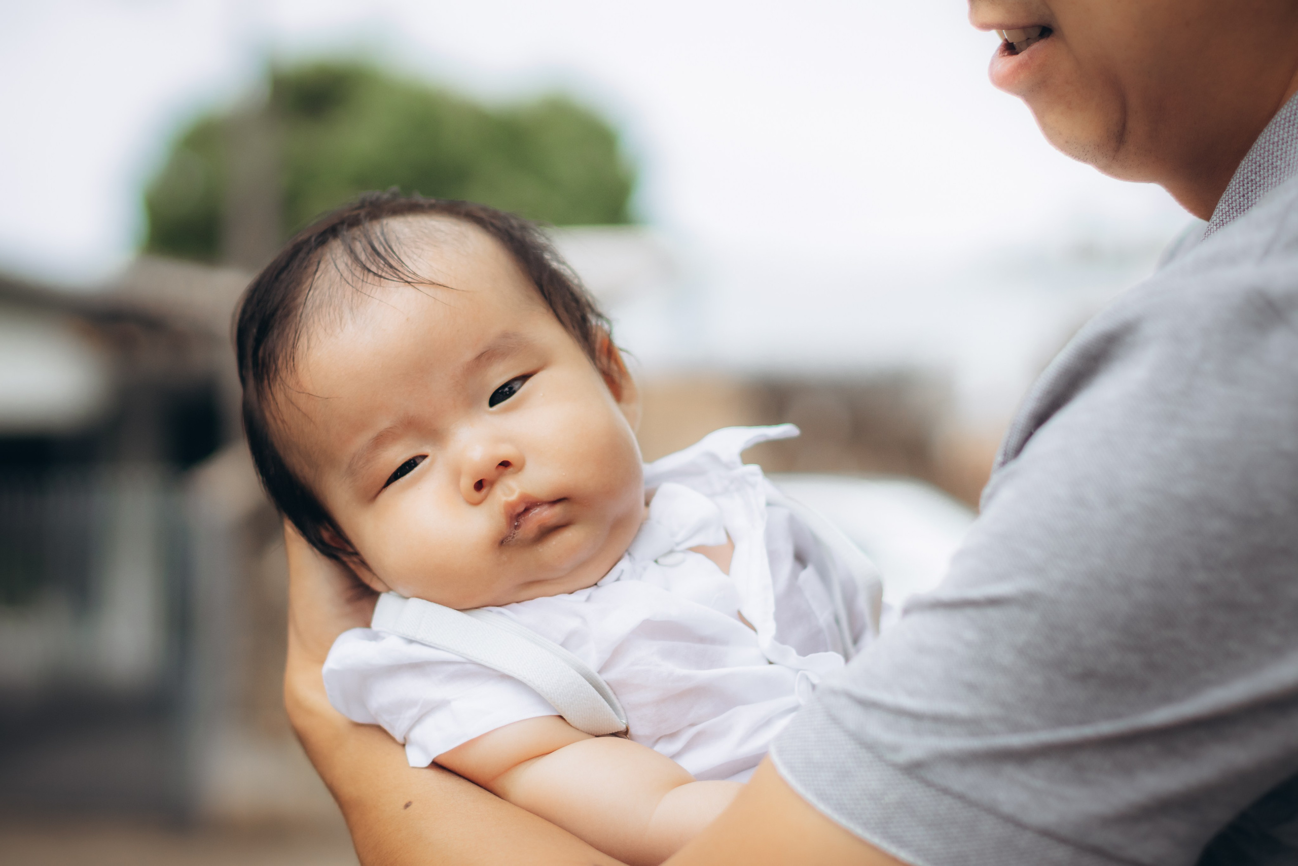 José Moacir. Principal