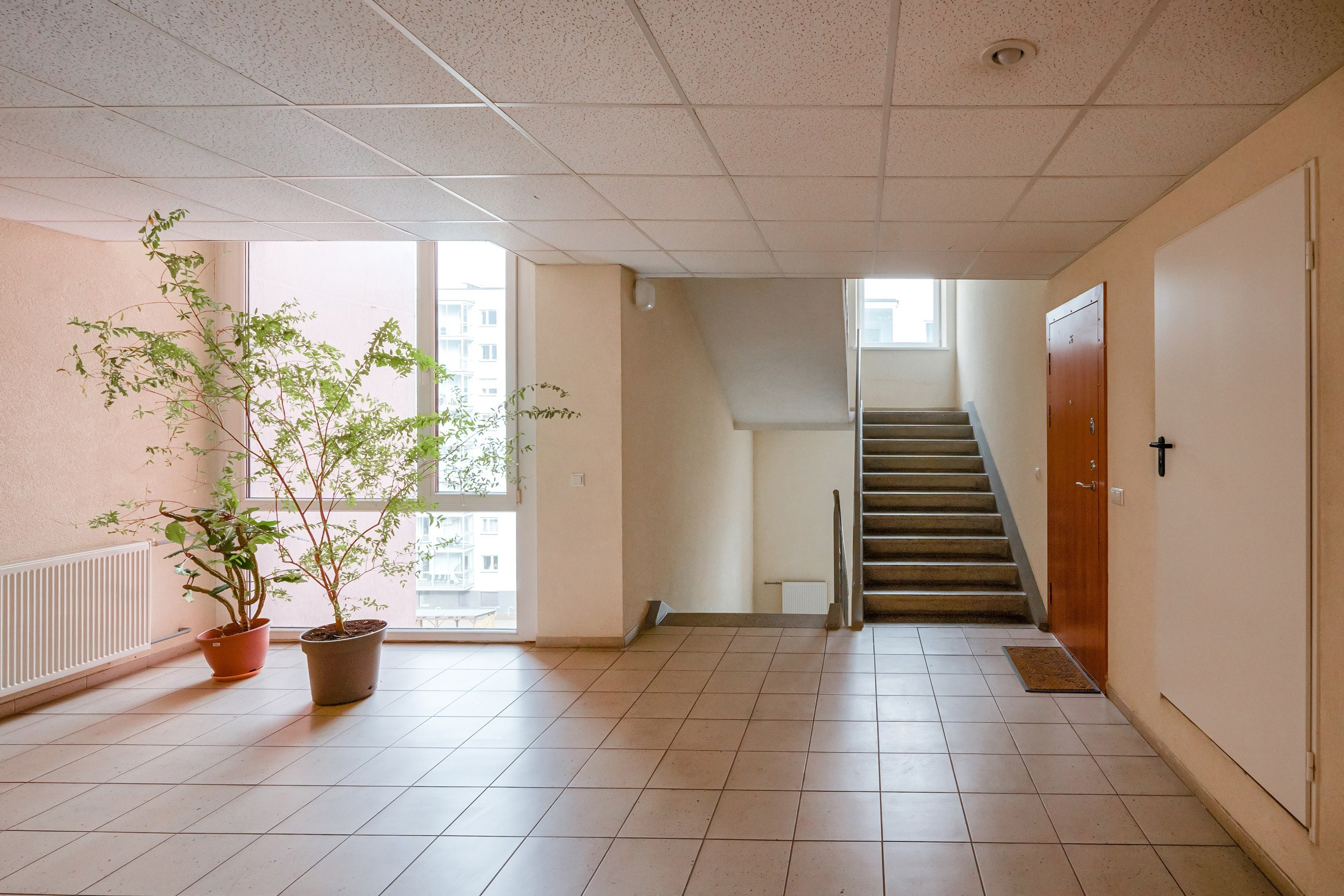 Kubiliaus g. 4b. Elina Sapiega fotografė Vilniuje