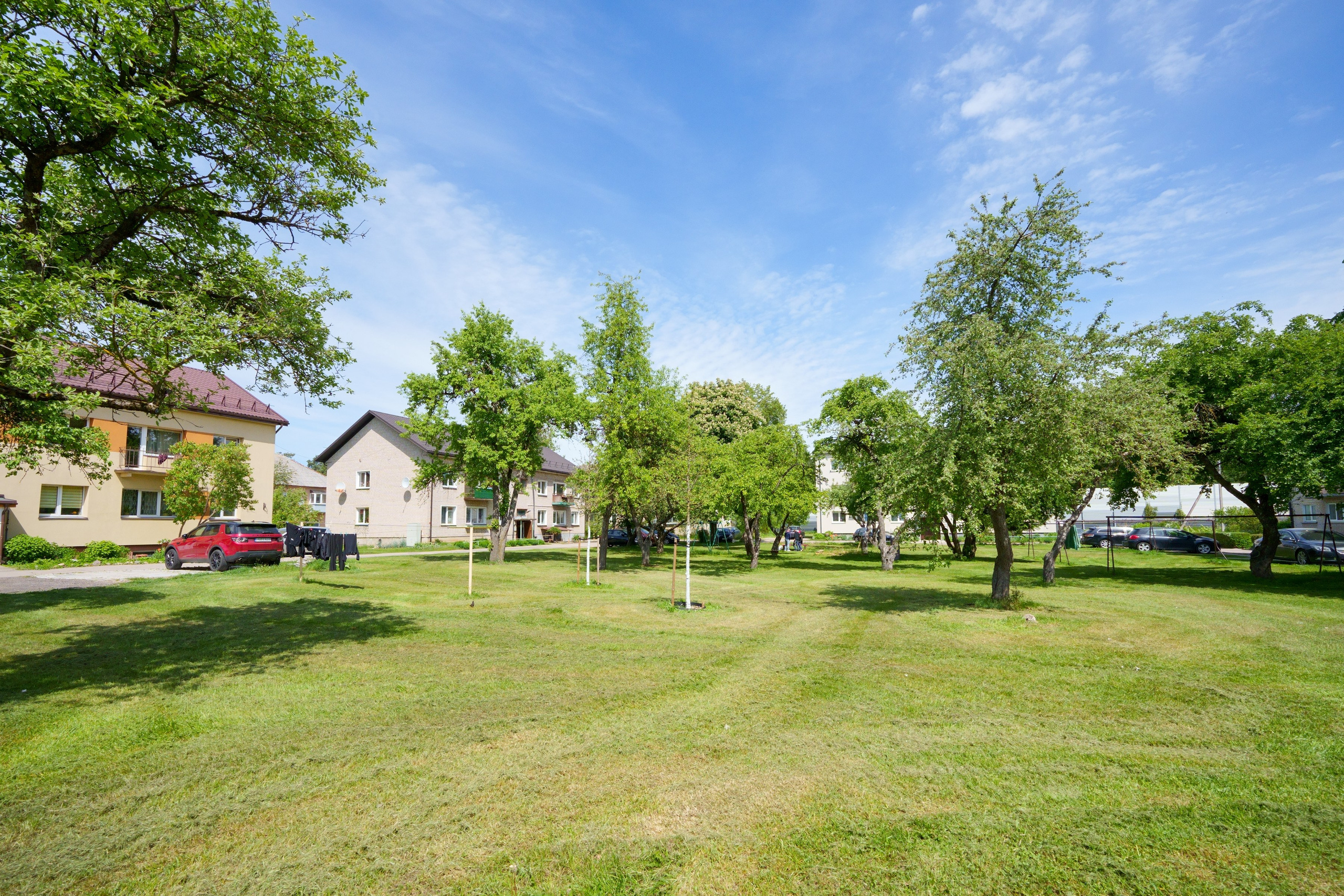 Grigiškės. Elina Sapiega fotografė Vilniuje