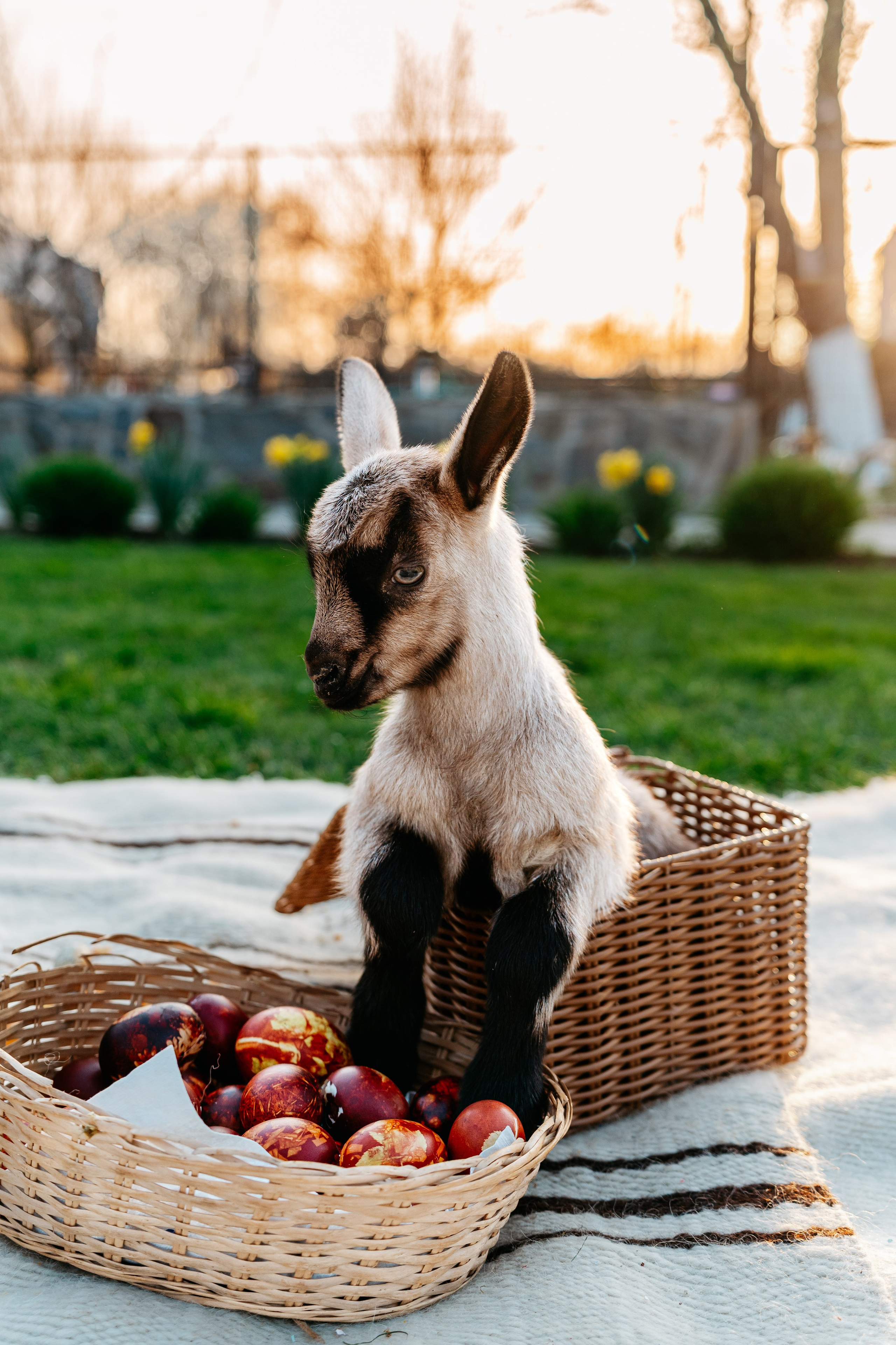 EASTER. Ars Vidi | Digital Solutions