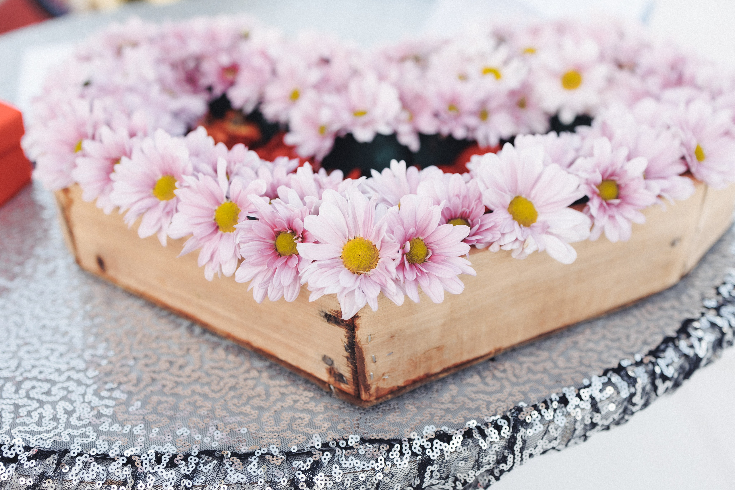 X & S. Fotograful evenimentului tău