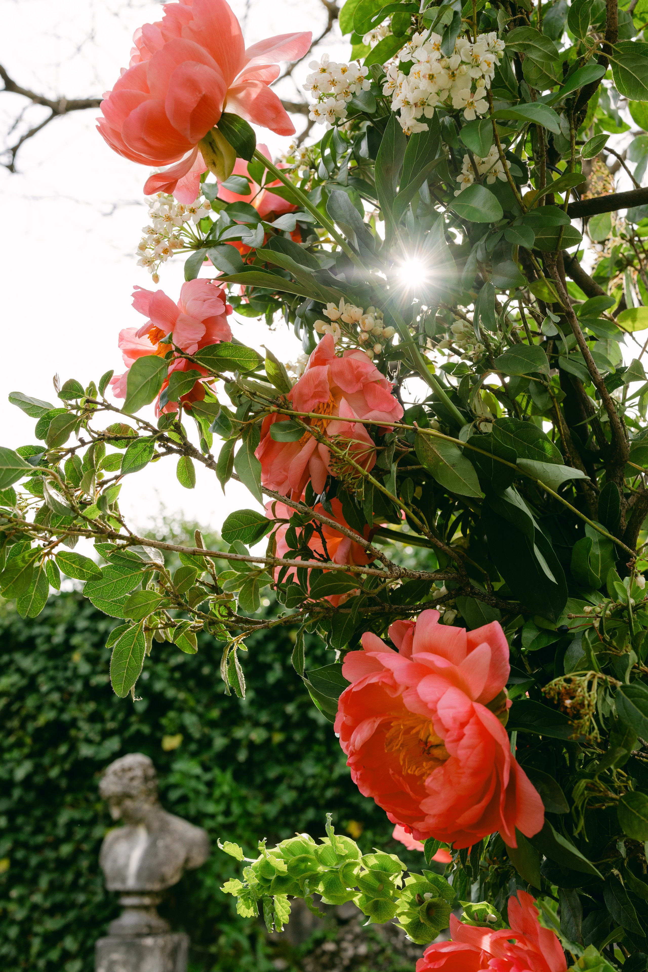 Lais and Flavio. Sara Luca Wedding Photographer in Italy and Europe