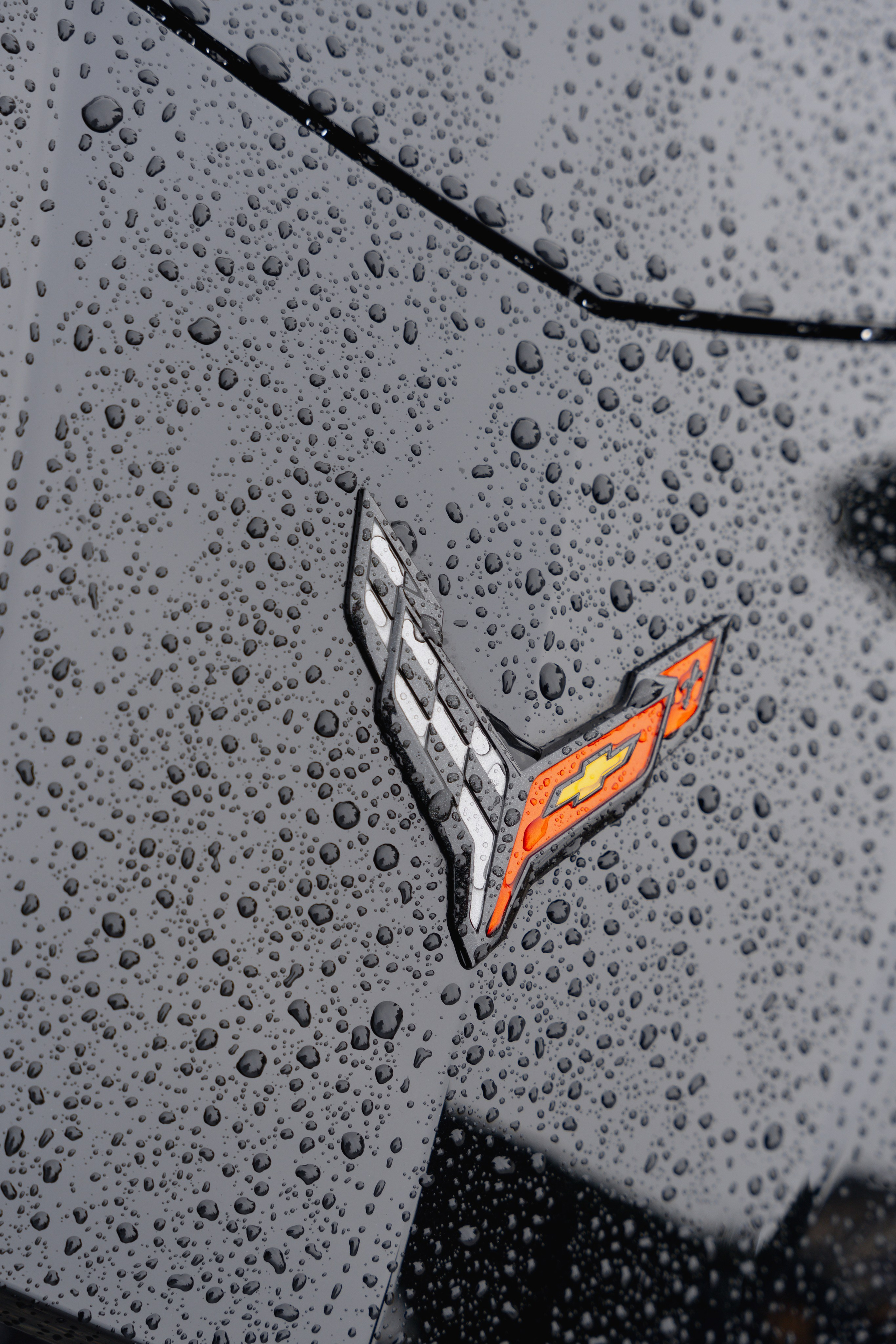 Sarah and Bhavin. Anna Krasnova Wedding photographer