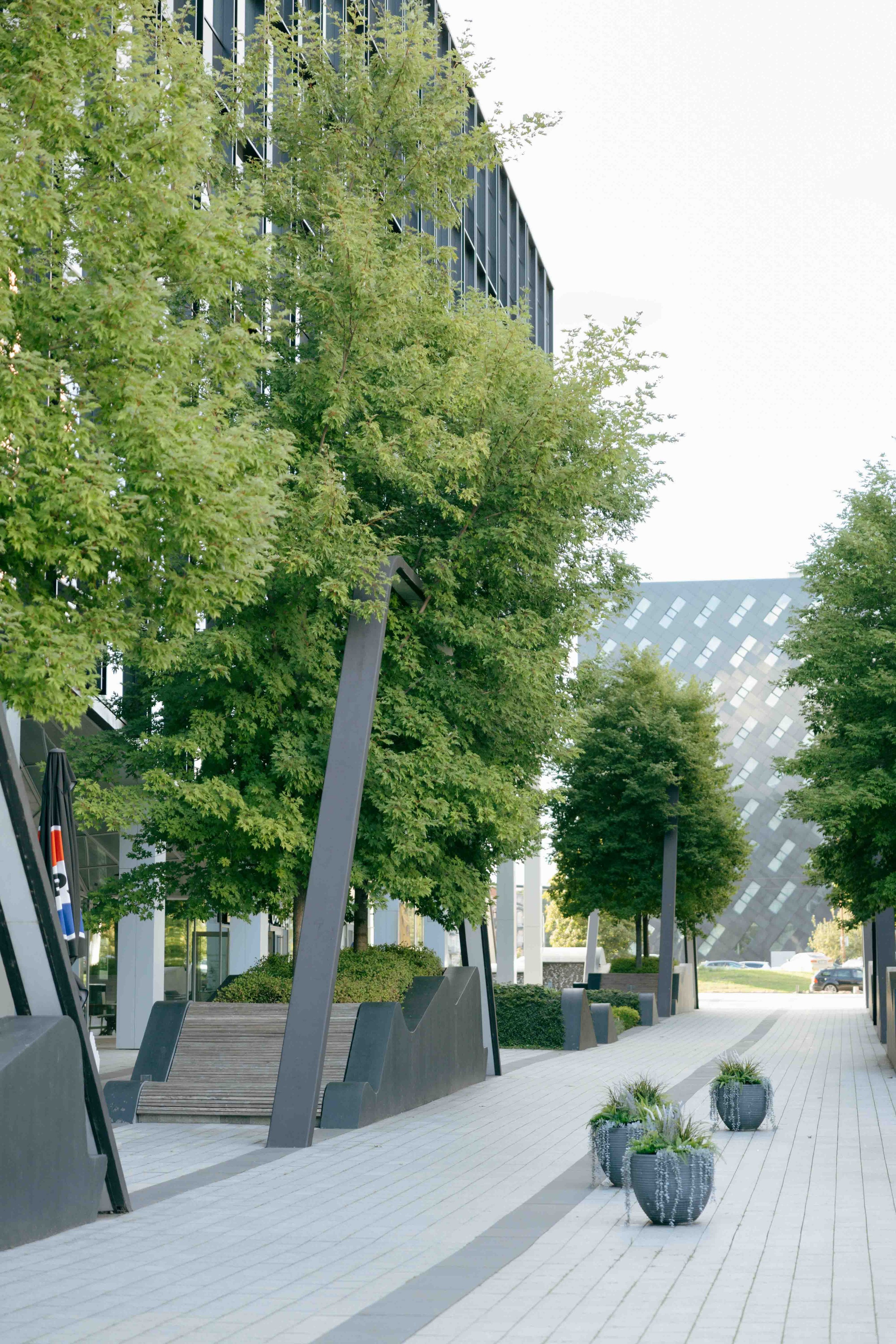 Modernios lokacijos fotosesijai Vilniuje. Framed by Evelina | Vestuvių fotografė