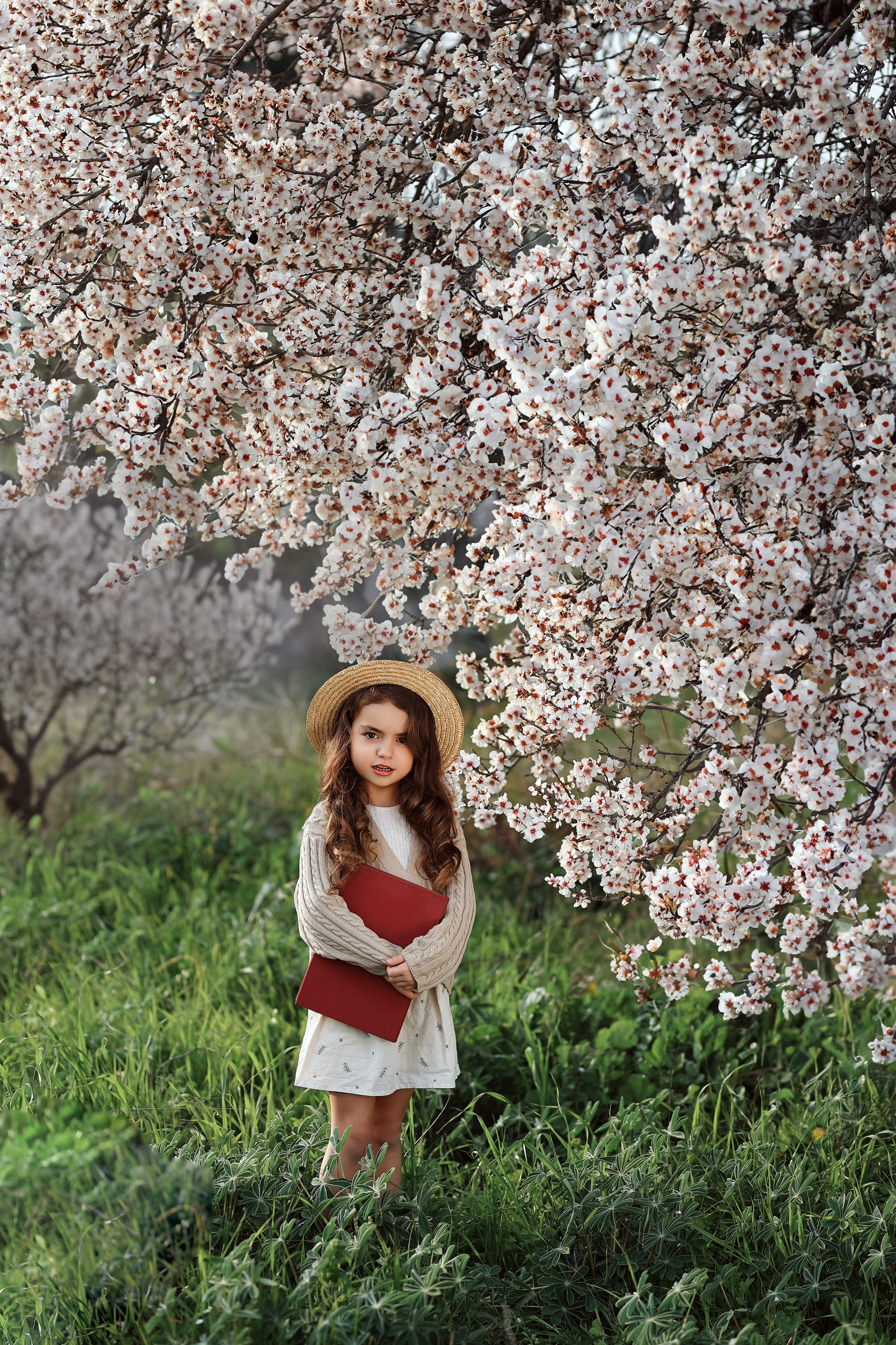 Фотосессия в цветущем миндале. Фотограф в Турции, Анталии, Кемере, Белеке, Сиде, Каше, Калкане, Фетхие