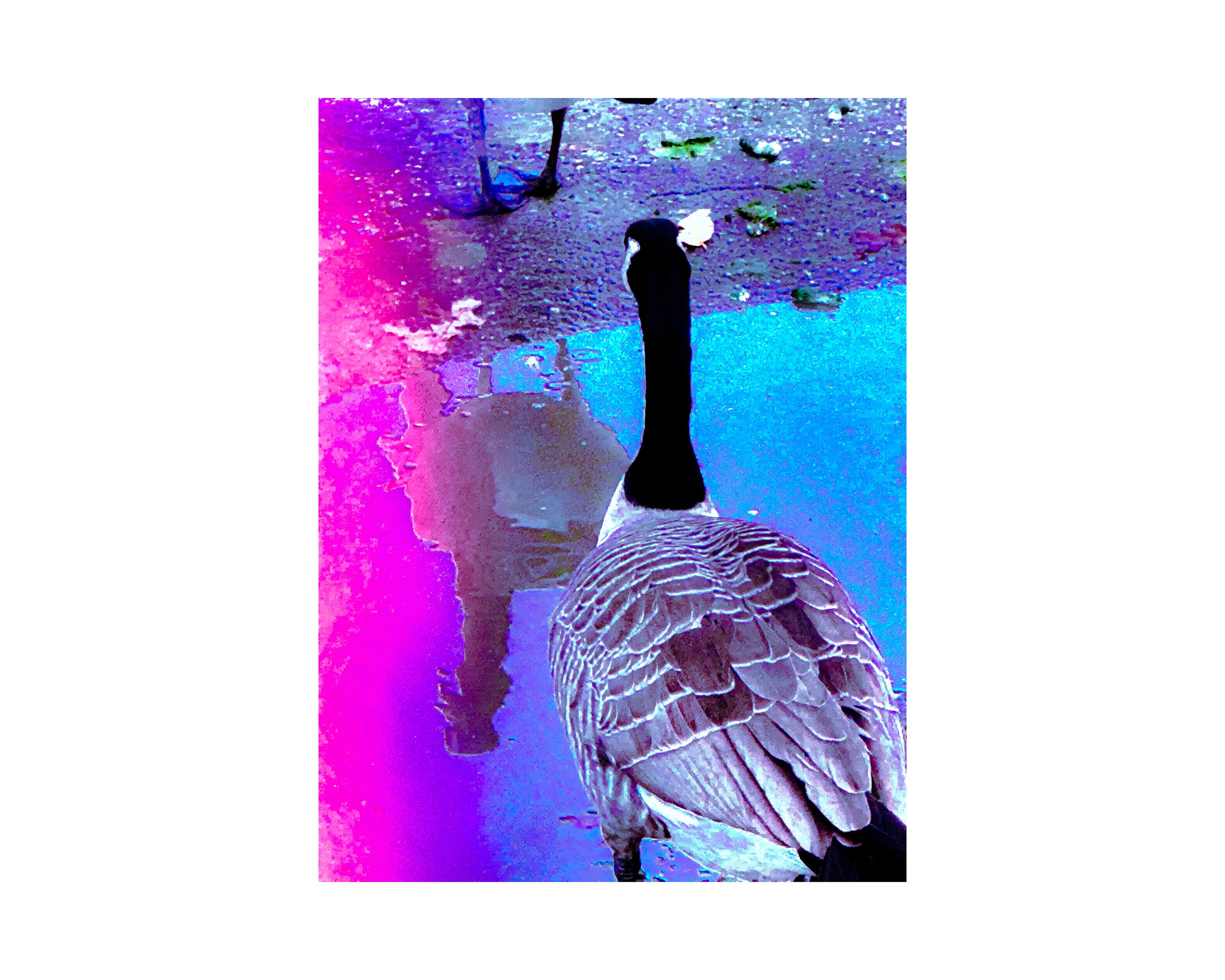 Nature from Exaggerated Worlds. Ekaterina Tsurkina-Appina Photography Canada