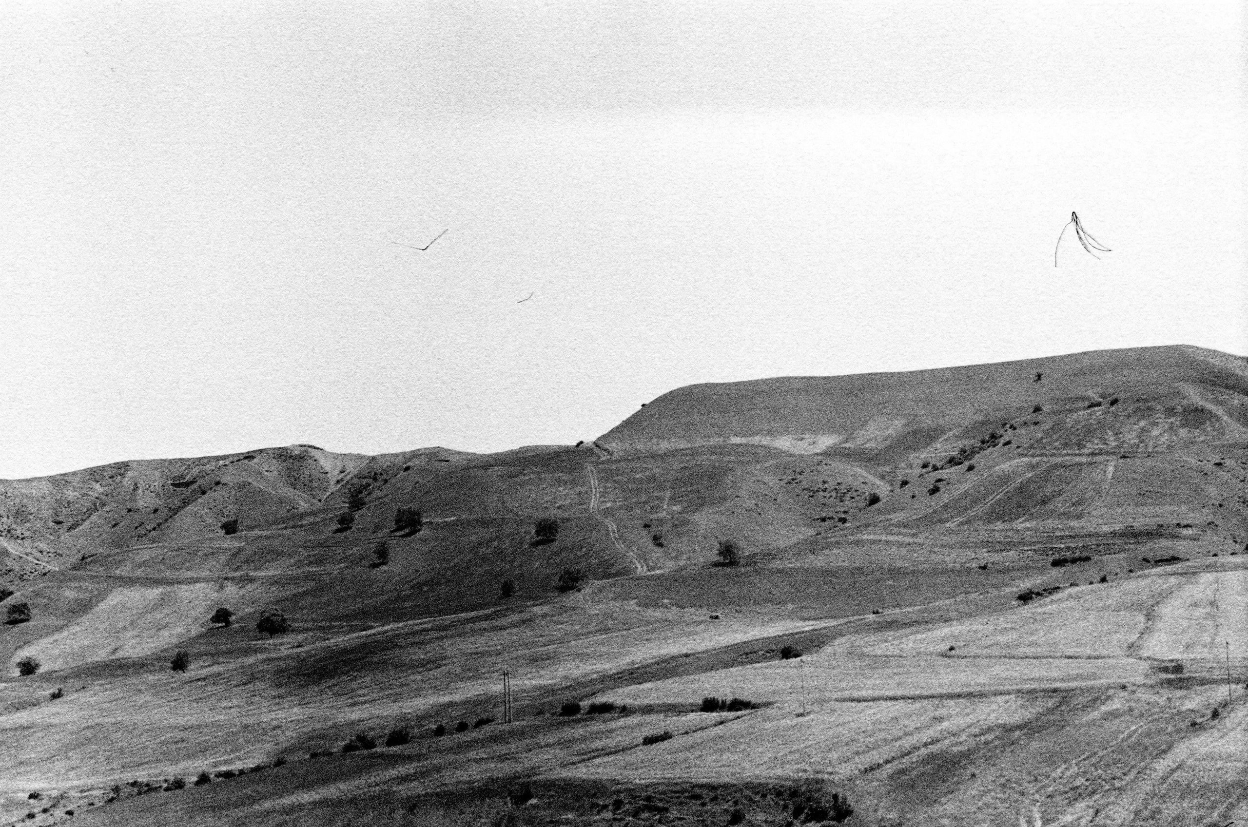 Personal Photography. Arman Milani, Brand-Focused Video Production & Content Creation, Based in Berlin