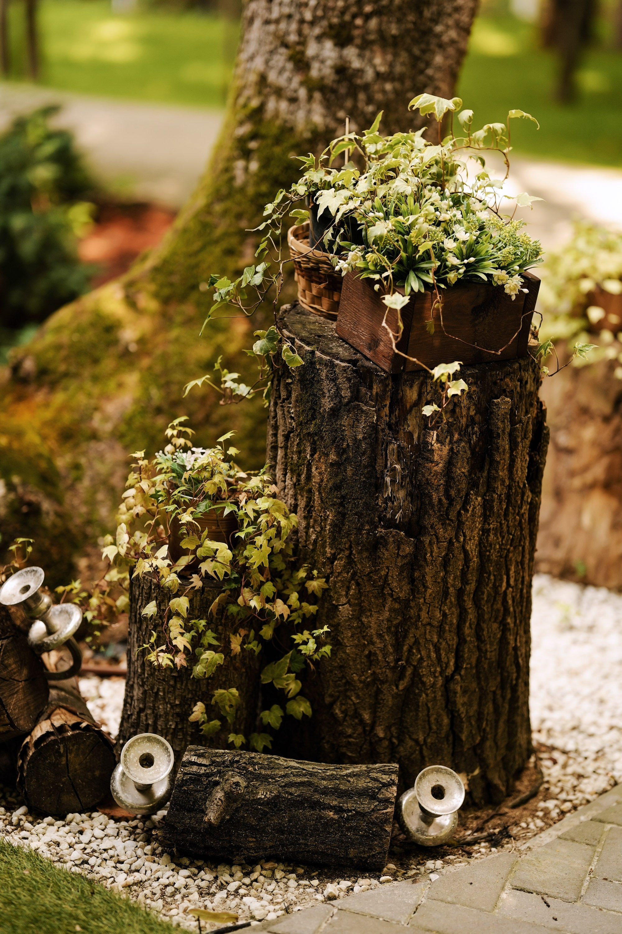 Flavia & Cosmin (partea a II-a). Fotograf evenimente. Fotograf nunta. Fotograf Botez. Mihaela Savu