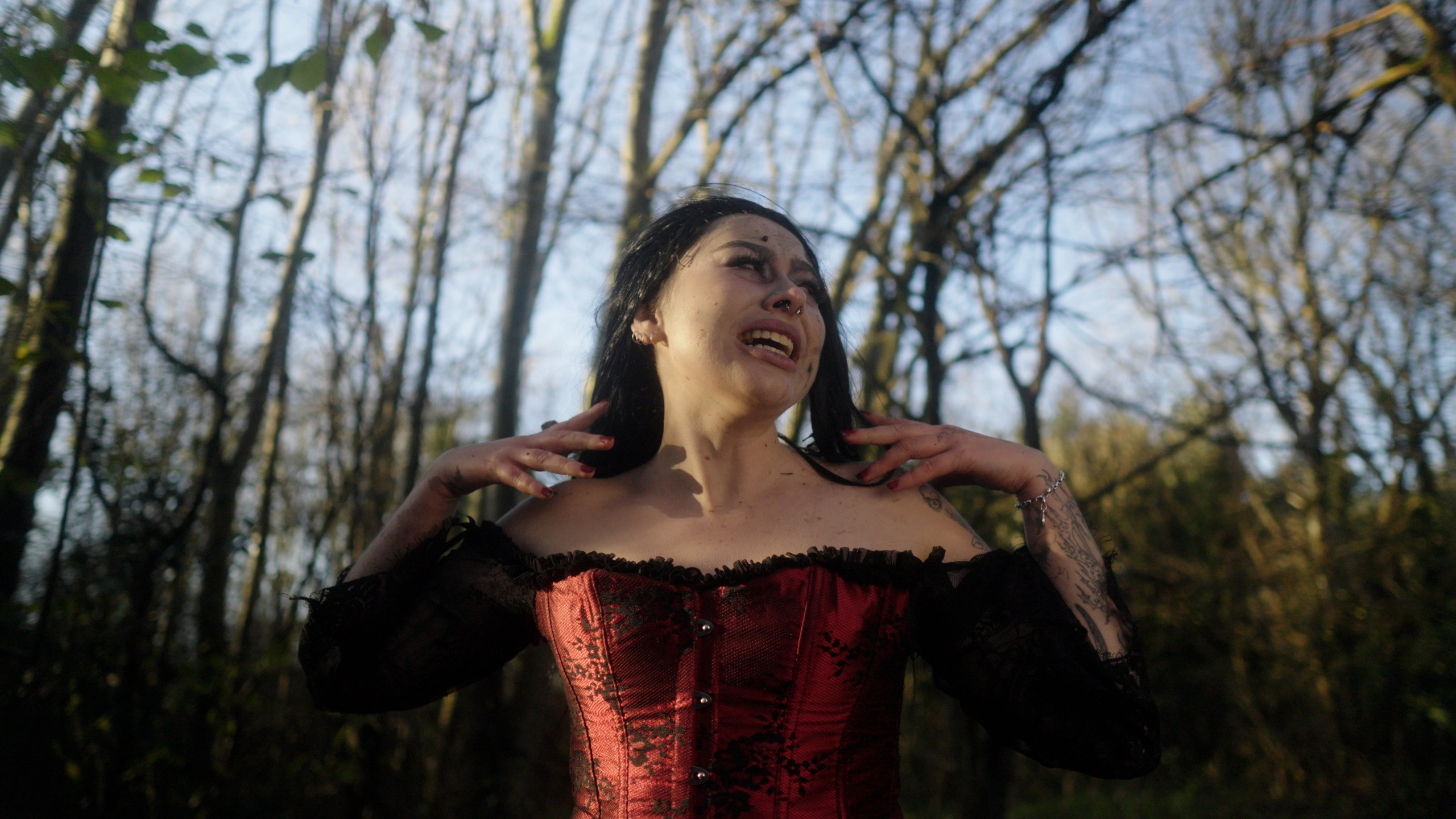 Dead Kitty Photoset. Molfar Visuals