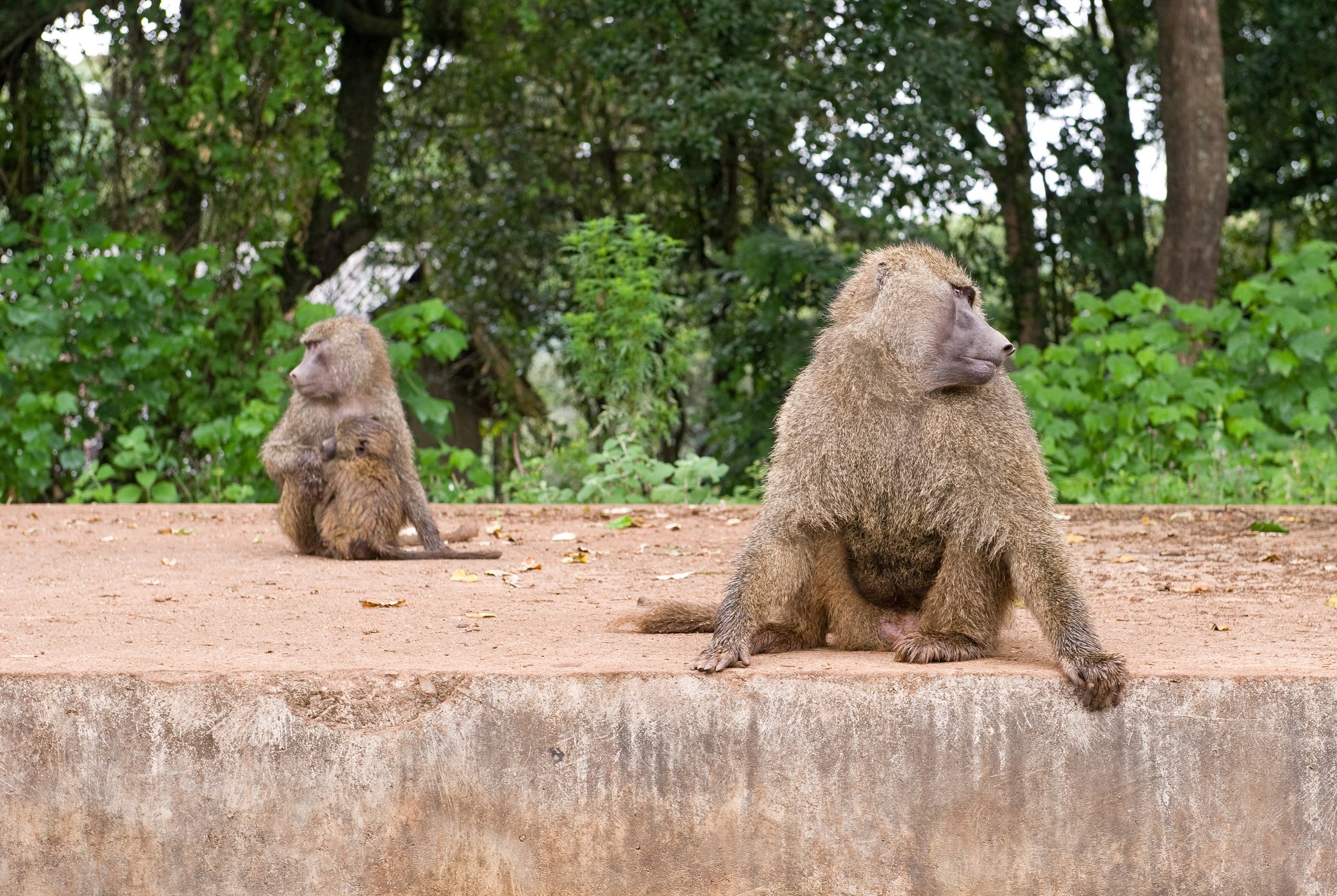 ТРЕВЕЛ. Фотограф и преподаватель фотографии в Белграде