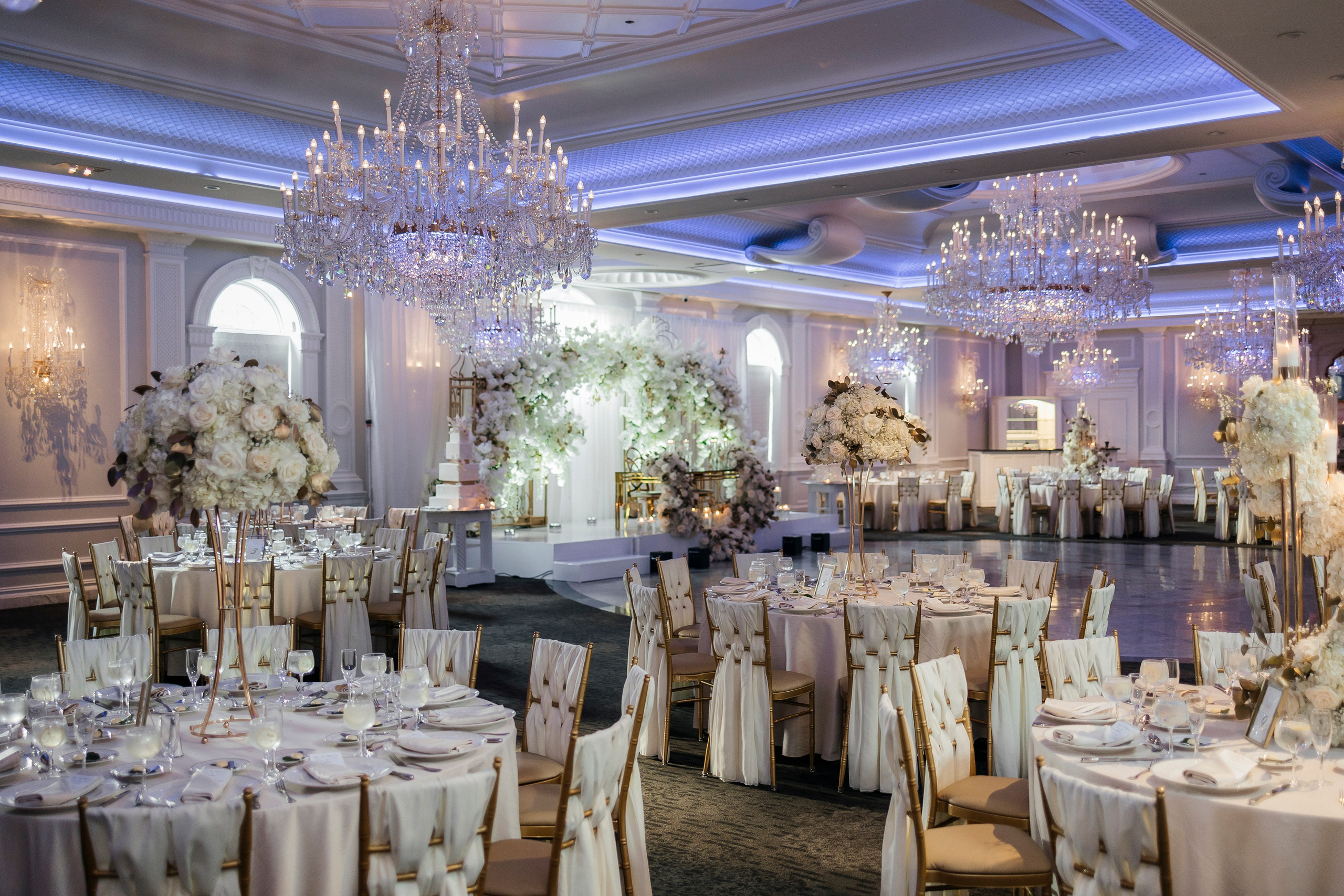 Mahmoud & Lana. Wedding Photo & Video