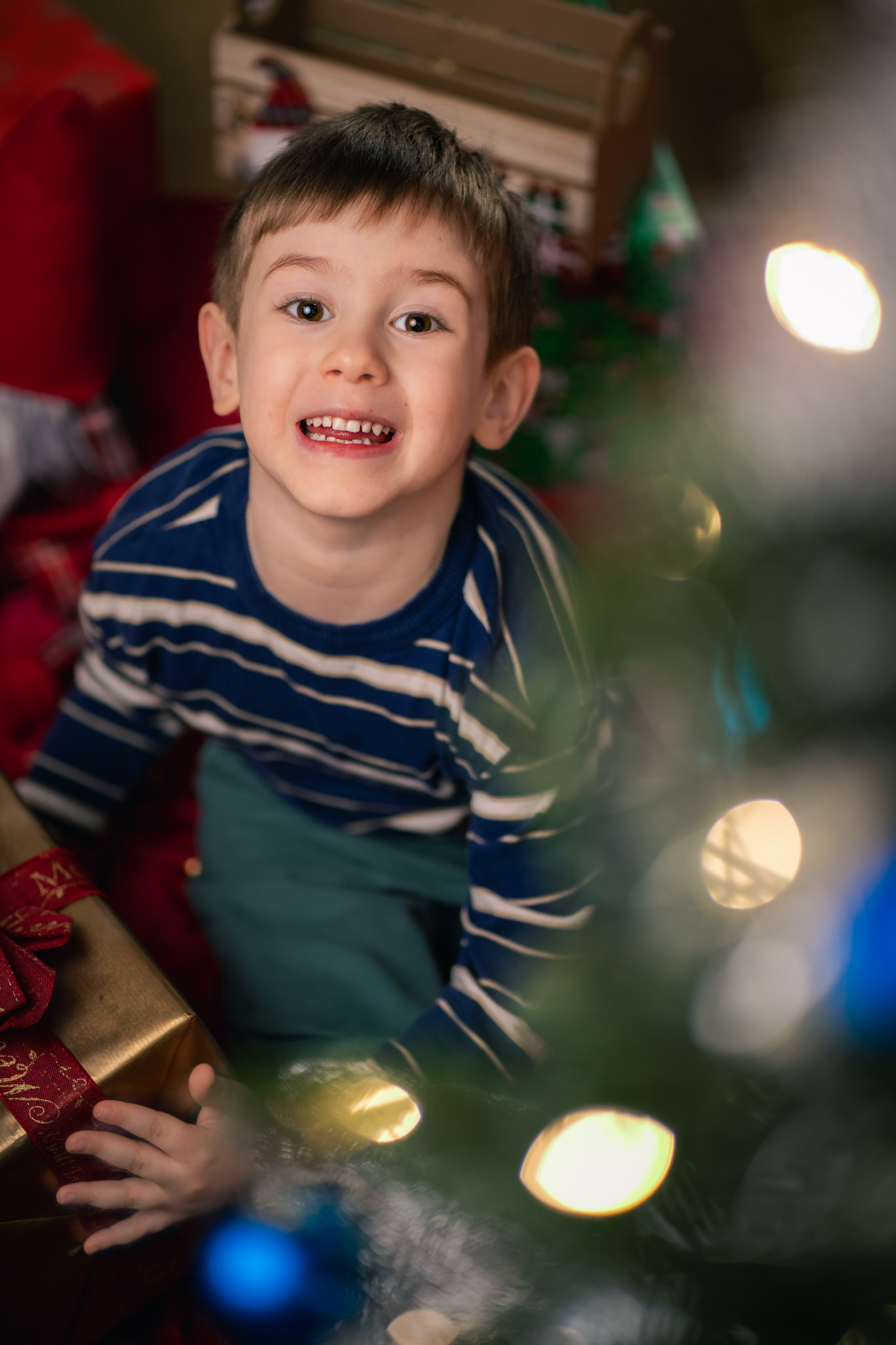 Sedinta foto Craciun — Gradinita Miniterra. Liviu Andrei - Fotograf