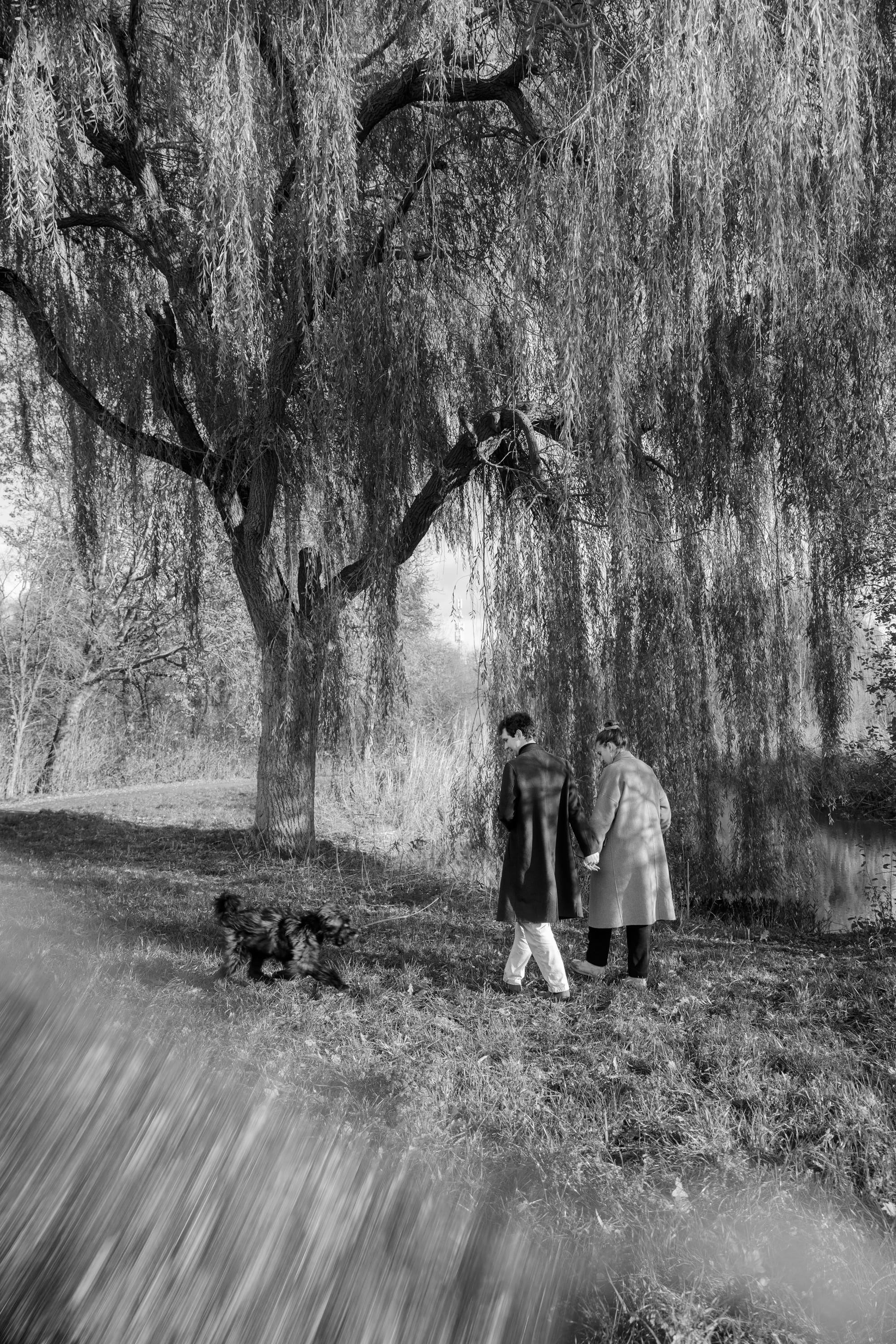 Pet Photoshoot in Spijkenisse | Rotterdam. Romantic & Soulful Photography by Natalia Olhova in Rotterdam