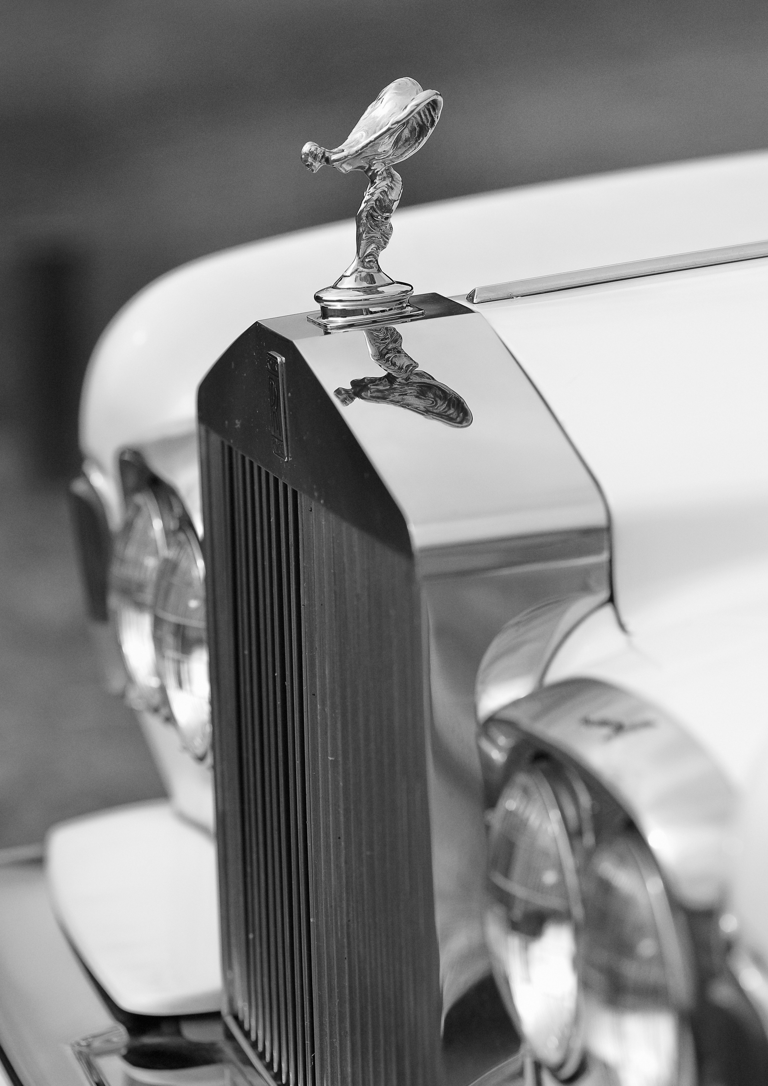 Madrid. Finca El Gasco. Luxury wedding, portrait, family photographer over Europe