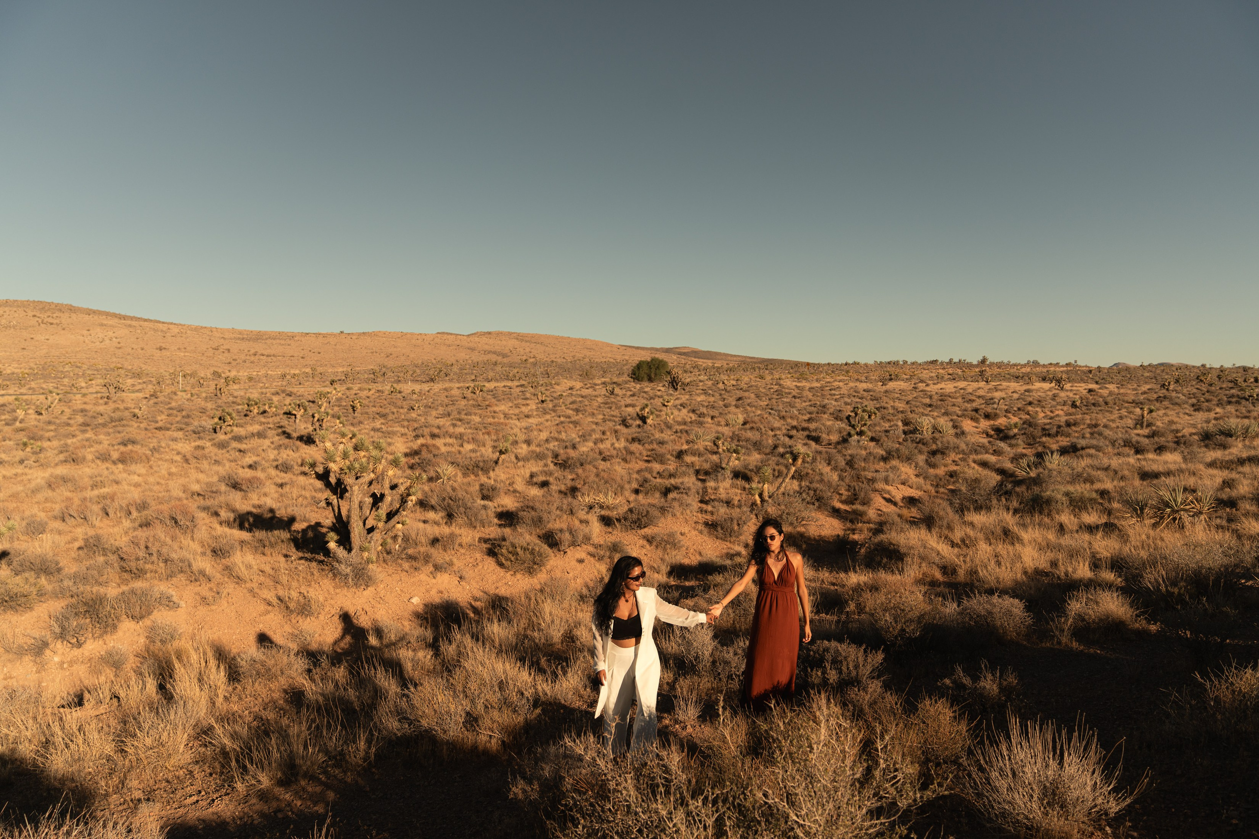 Liz&Fatima. Wedding & elopement photographer Viktoriya Kravtsov. Las Vegas