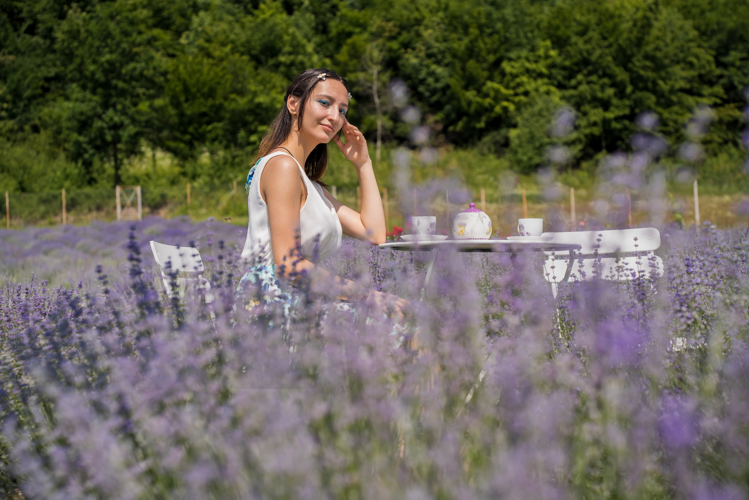 Ședință foto în Lavandă. Mihai Alexandra Events