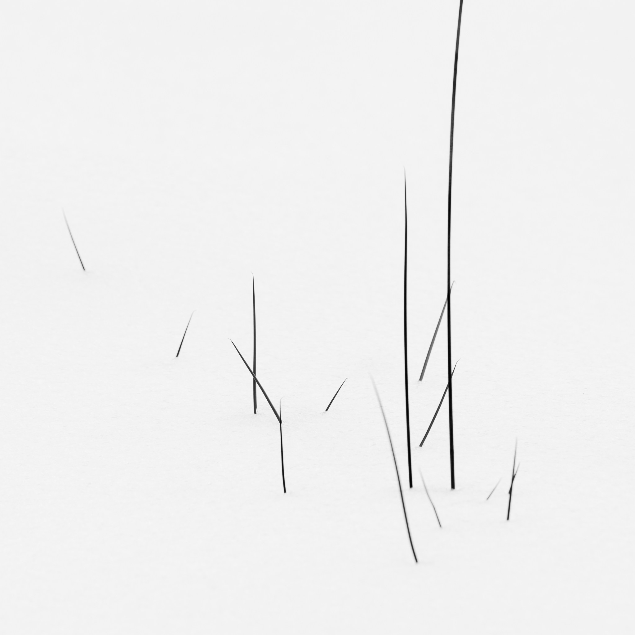 Intimate Landscapes. Nature Photographer and Videographer from Germany