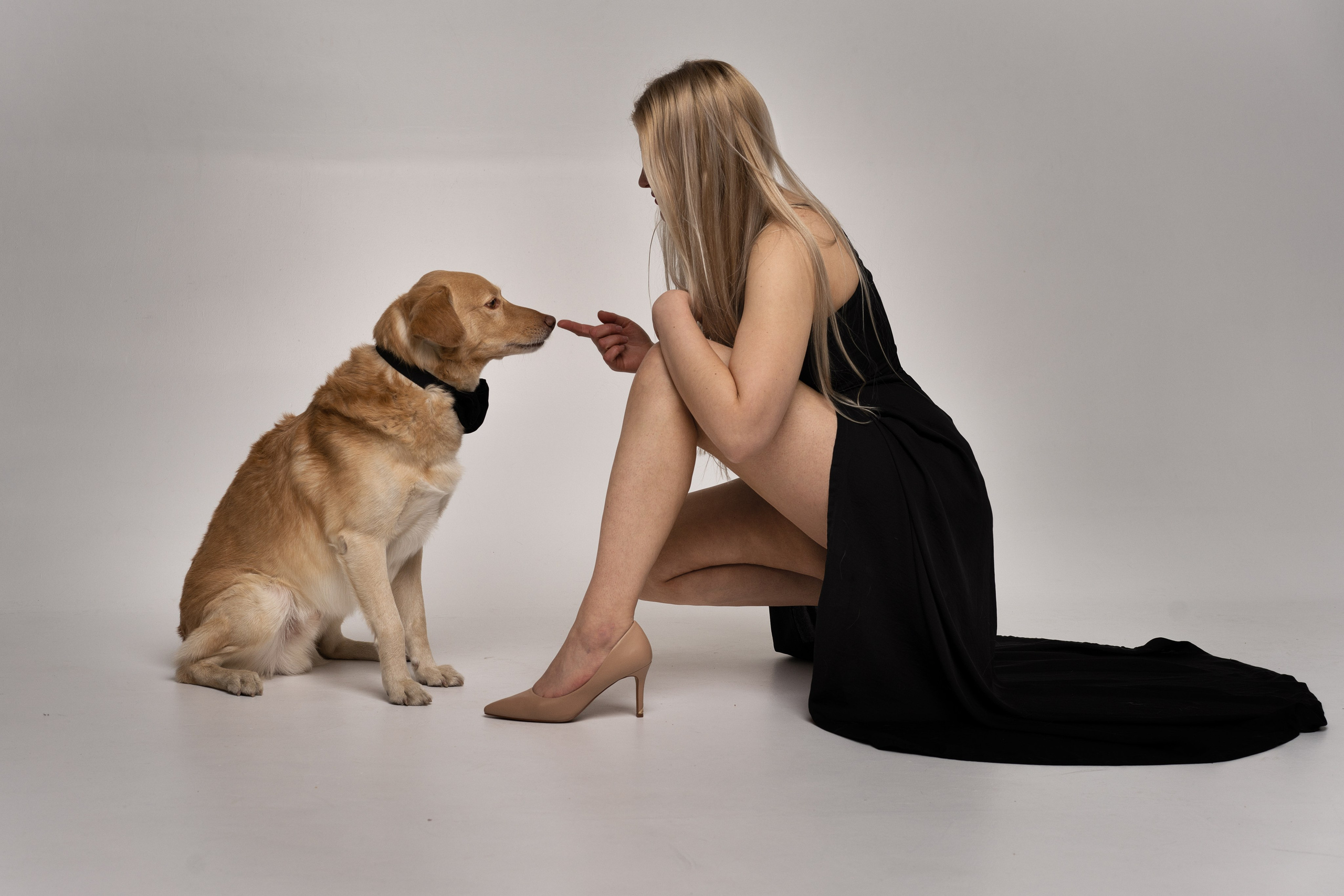 Studio with dogs. Sports and portrait photographer in Riga